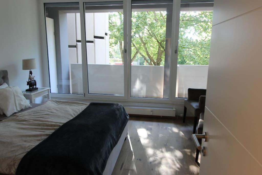 One-Bedroom Apartment photo 3