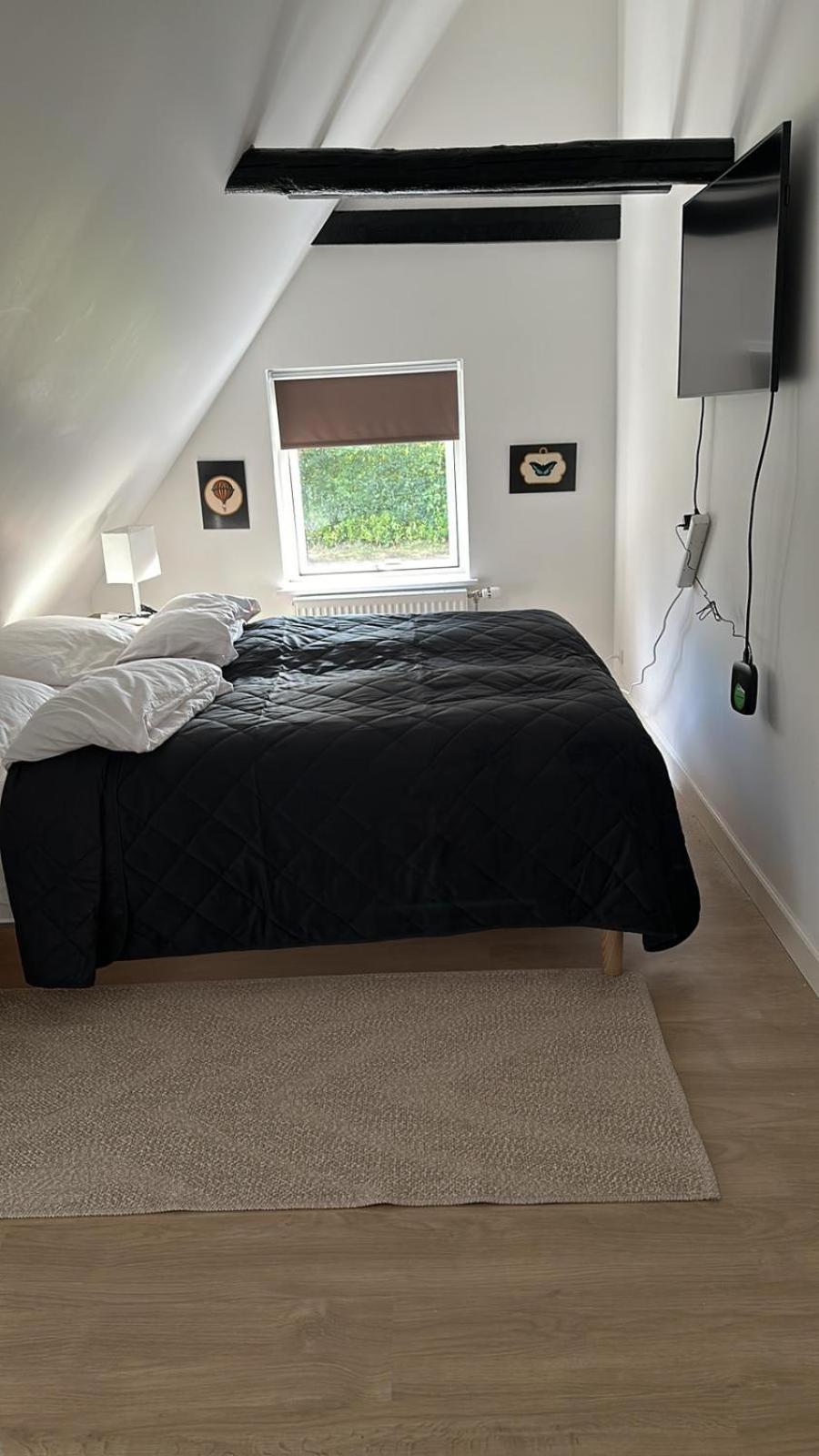 Twin Room photo 2