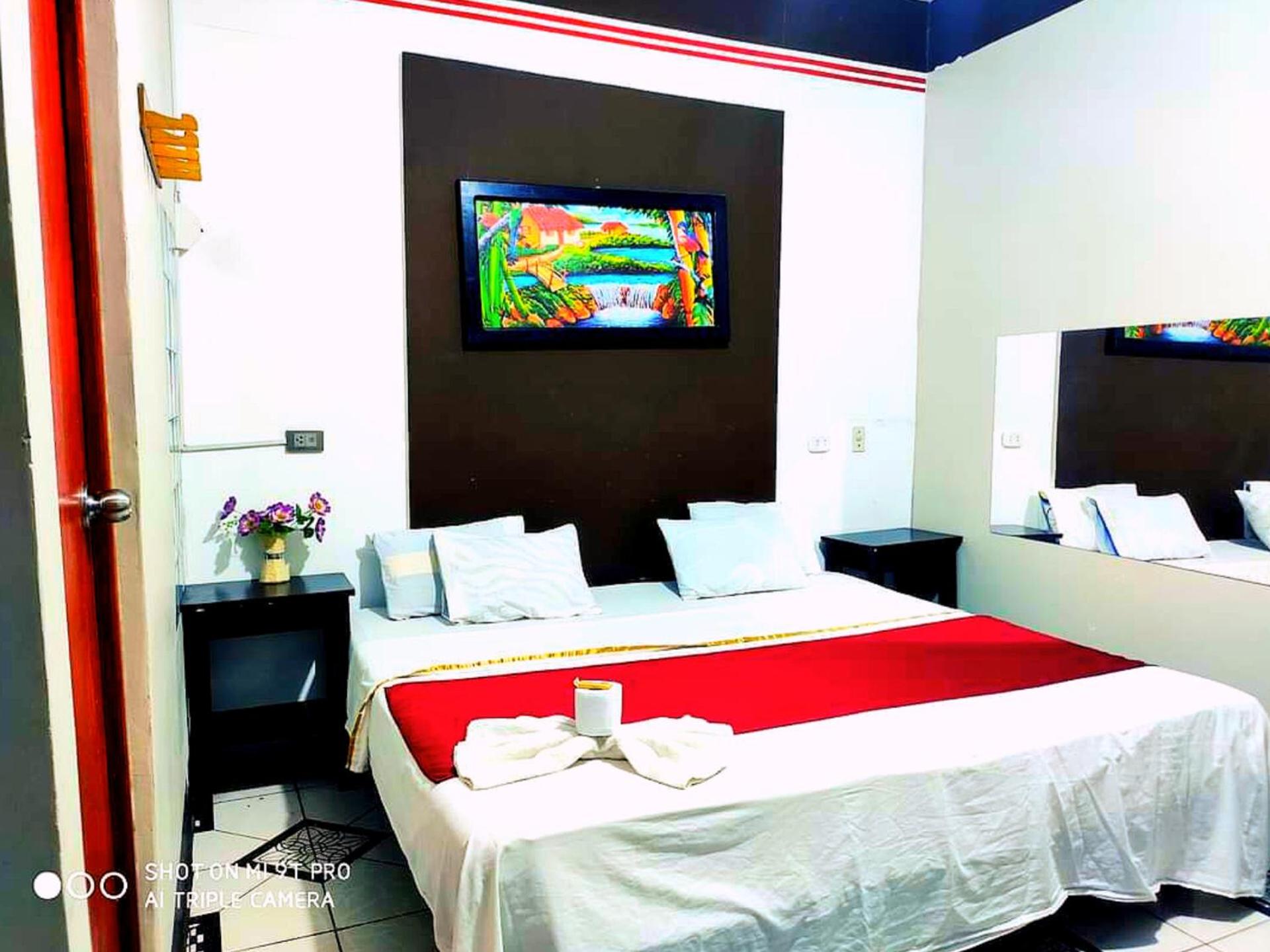 Large Single Room photo 2