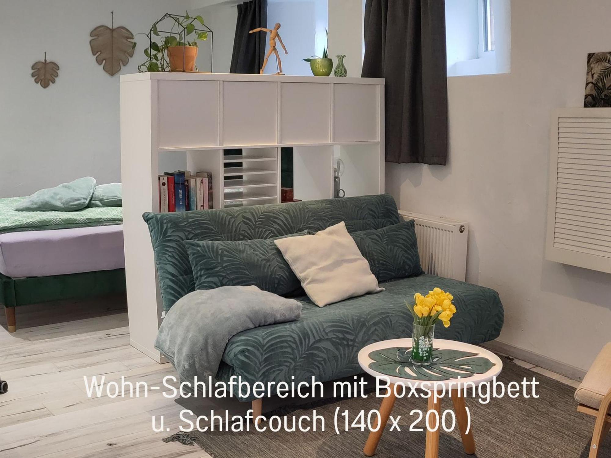One-Bedroom Apartment photo 1