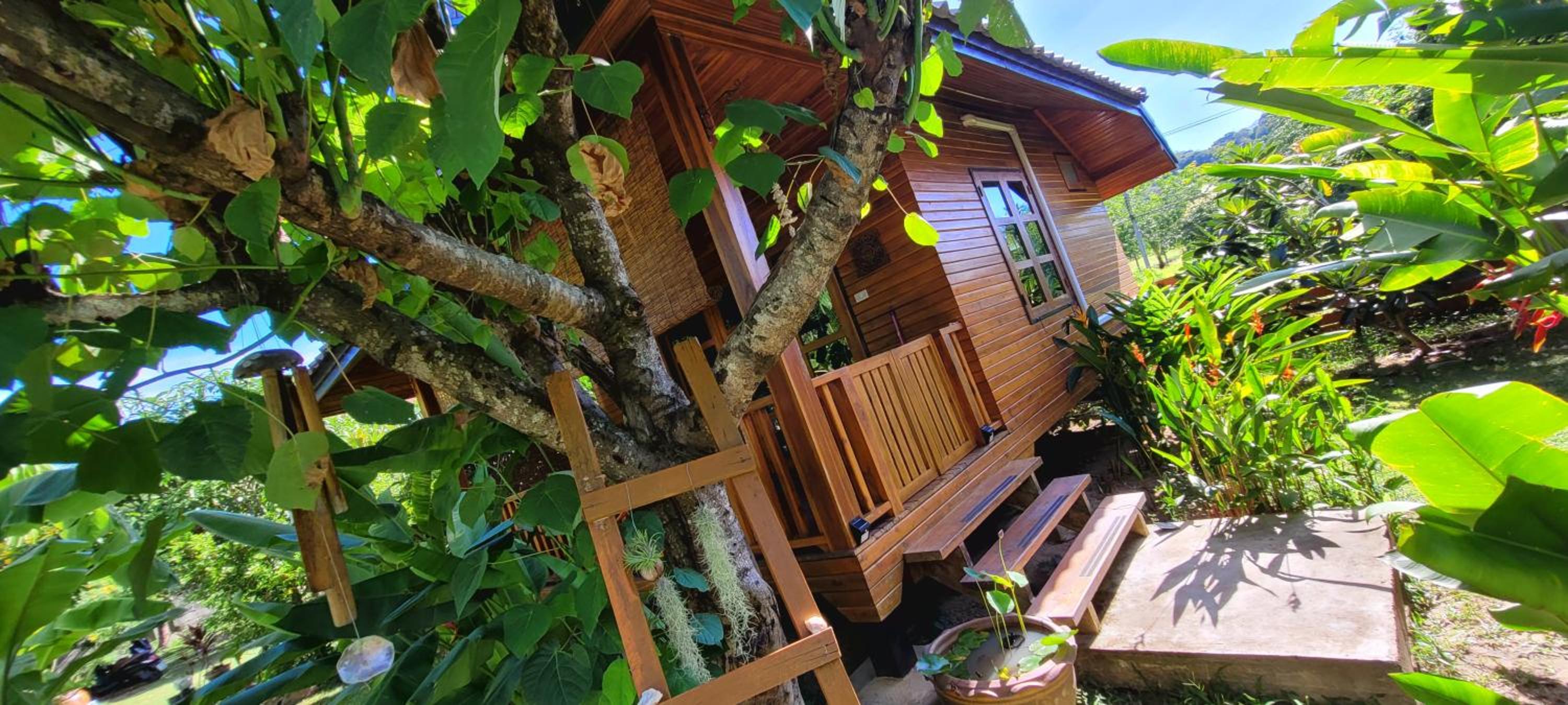Deluxe Bungalow photo 3