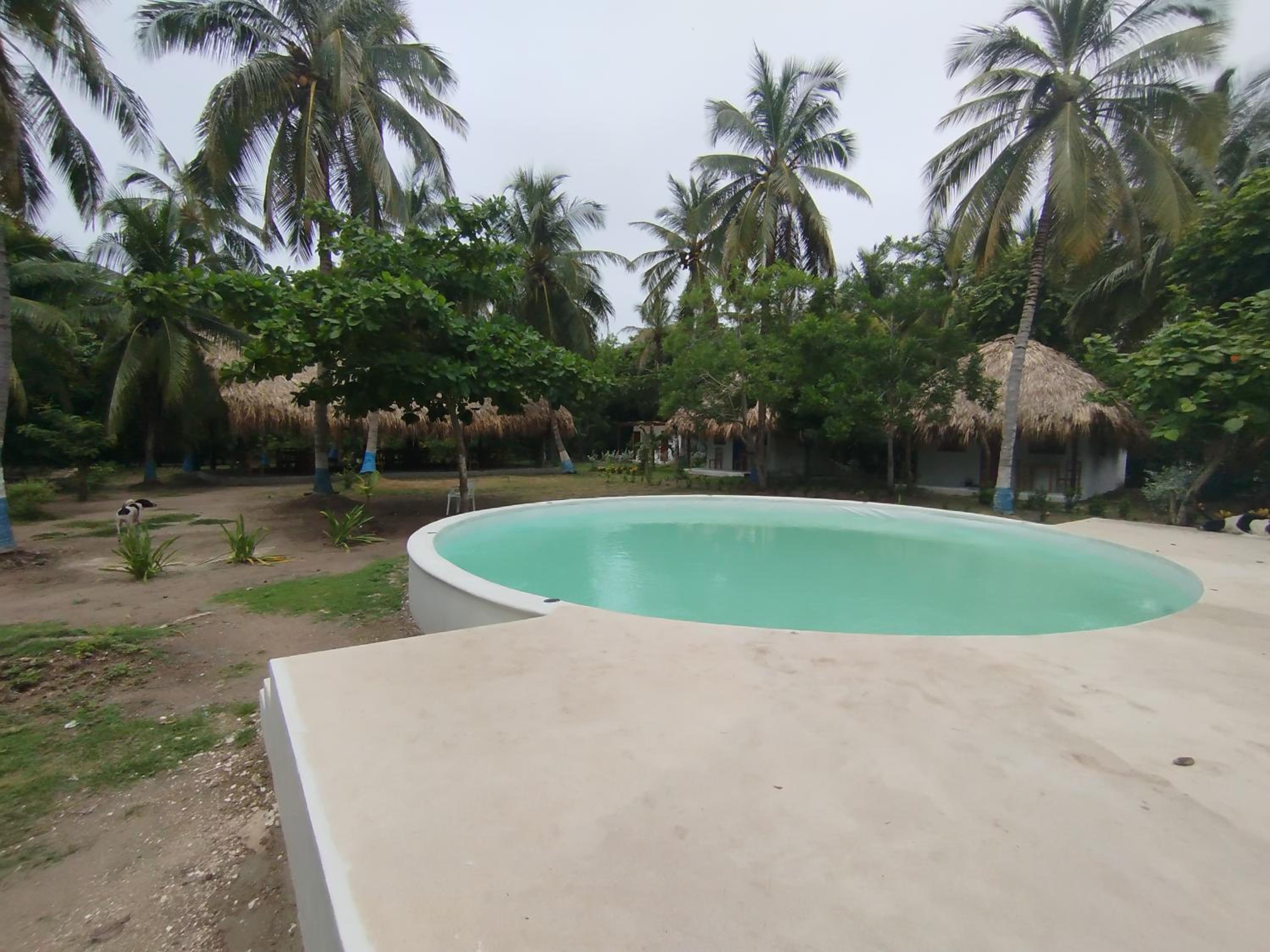 Deluxe Bungalow photo 2