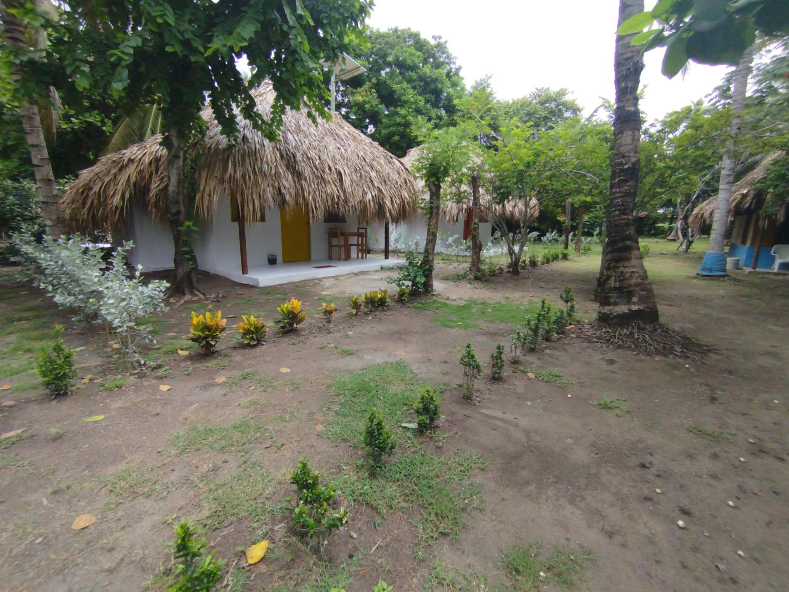 Deluxe Bungalow photo 3