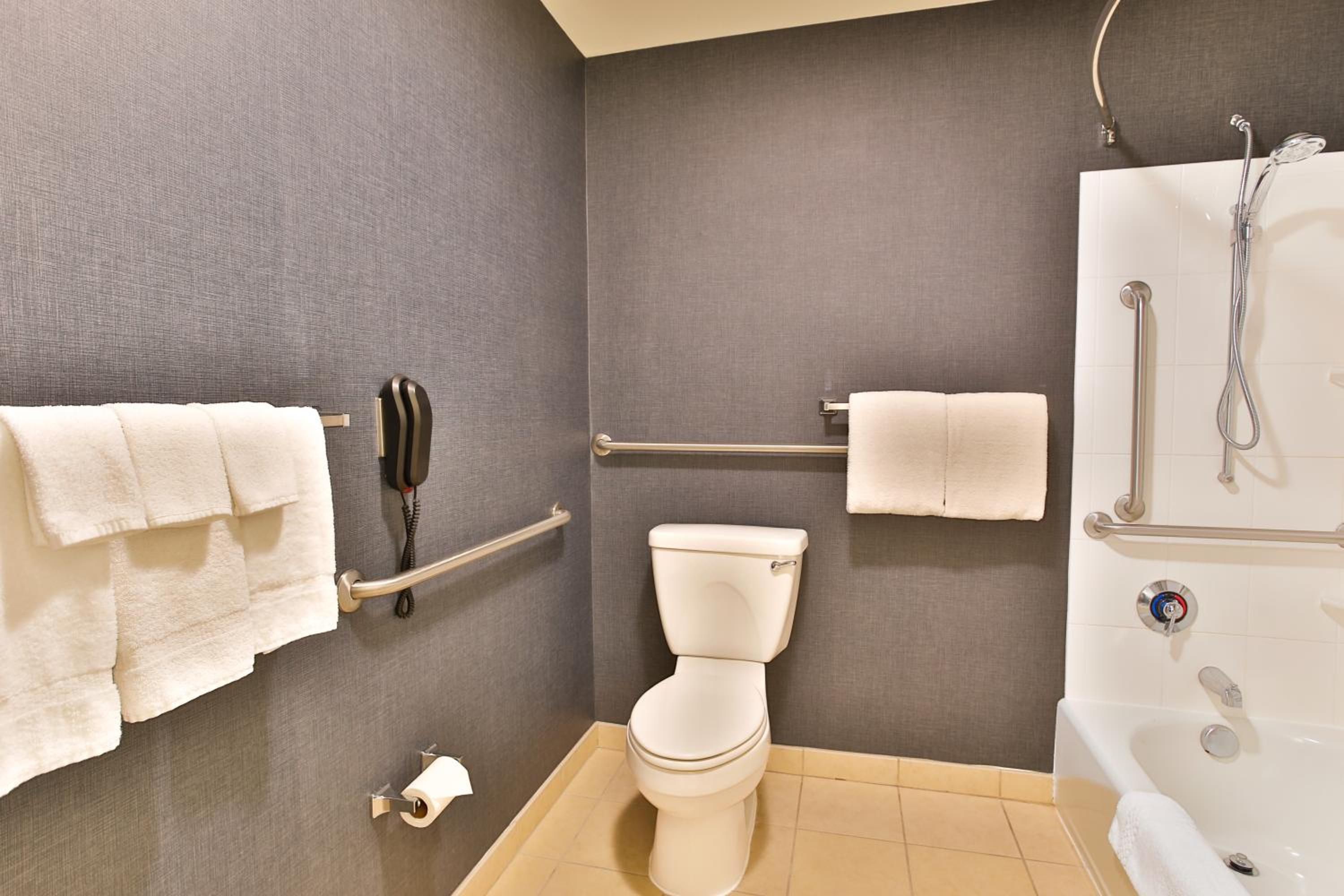King Studio with Sofa Bed and Adapted Tub - Mobility and Hearing Accessible - Photo 5