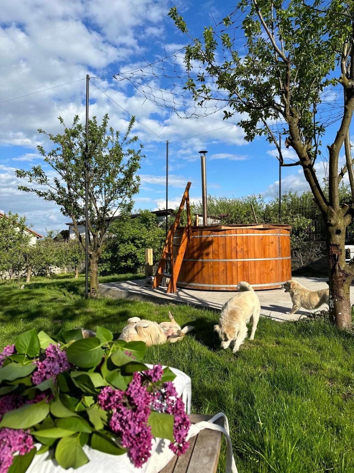 Villa with Garden View - Photo 15