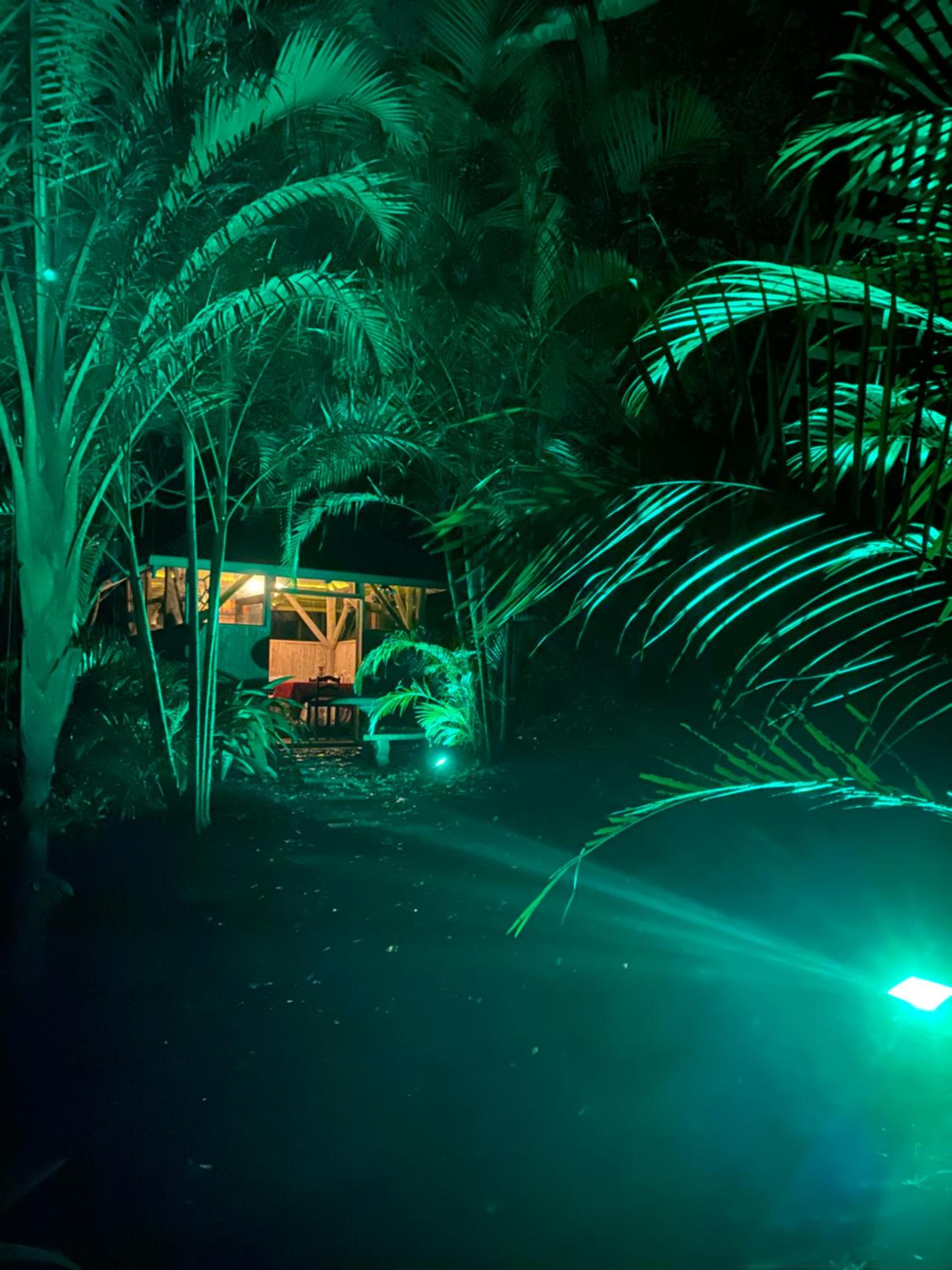 Bungalow photo 1