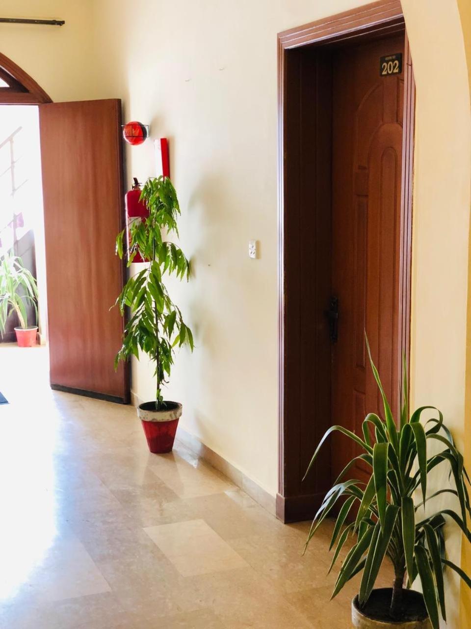 Budget Single Room photo 3