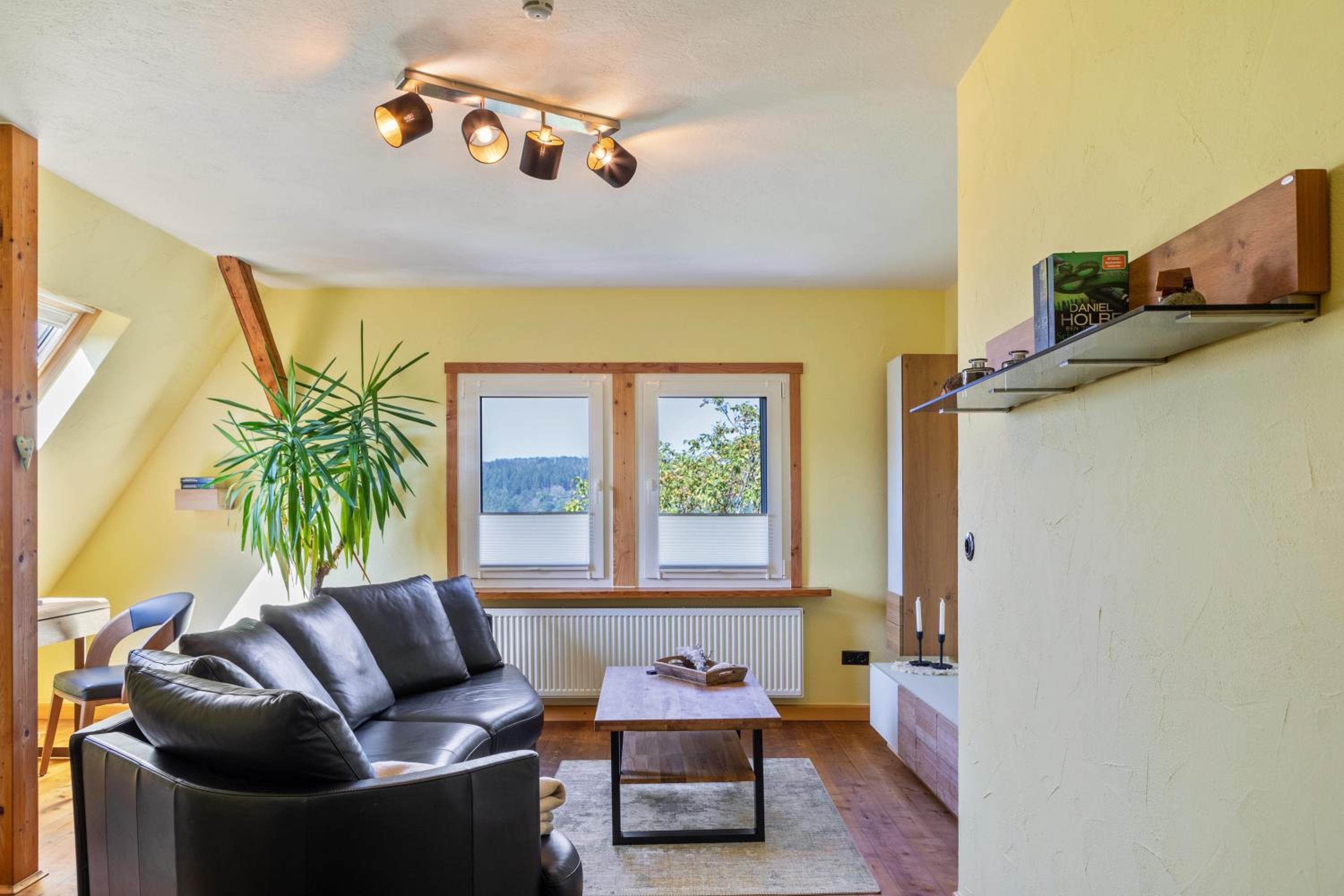 Superior Apartment with City View photo 1