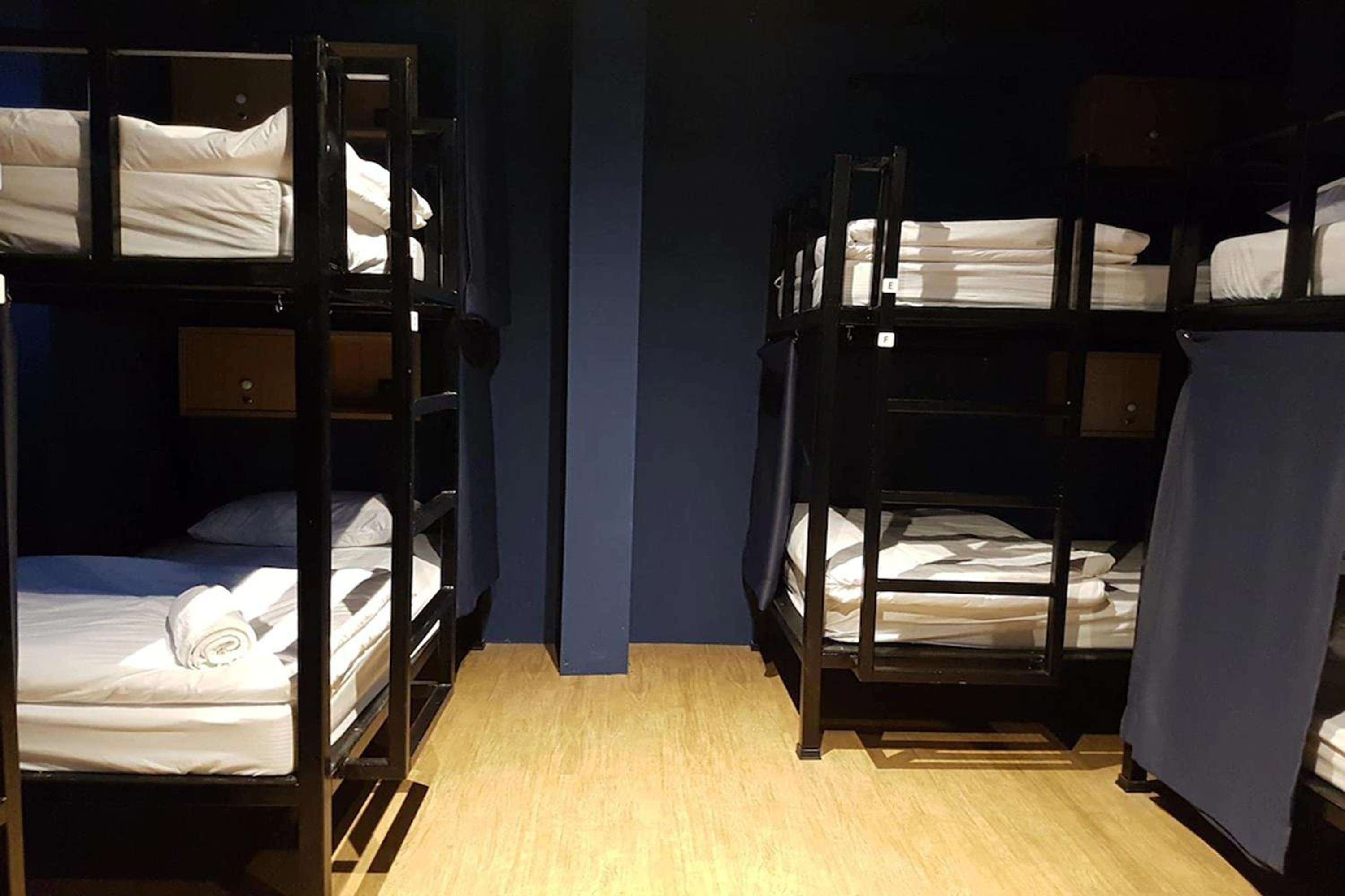 Bunk Bed in Mixed Dormitory Room photo 3