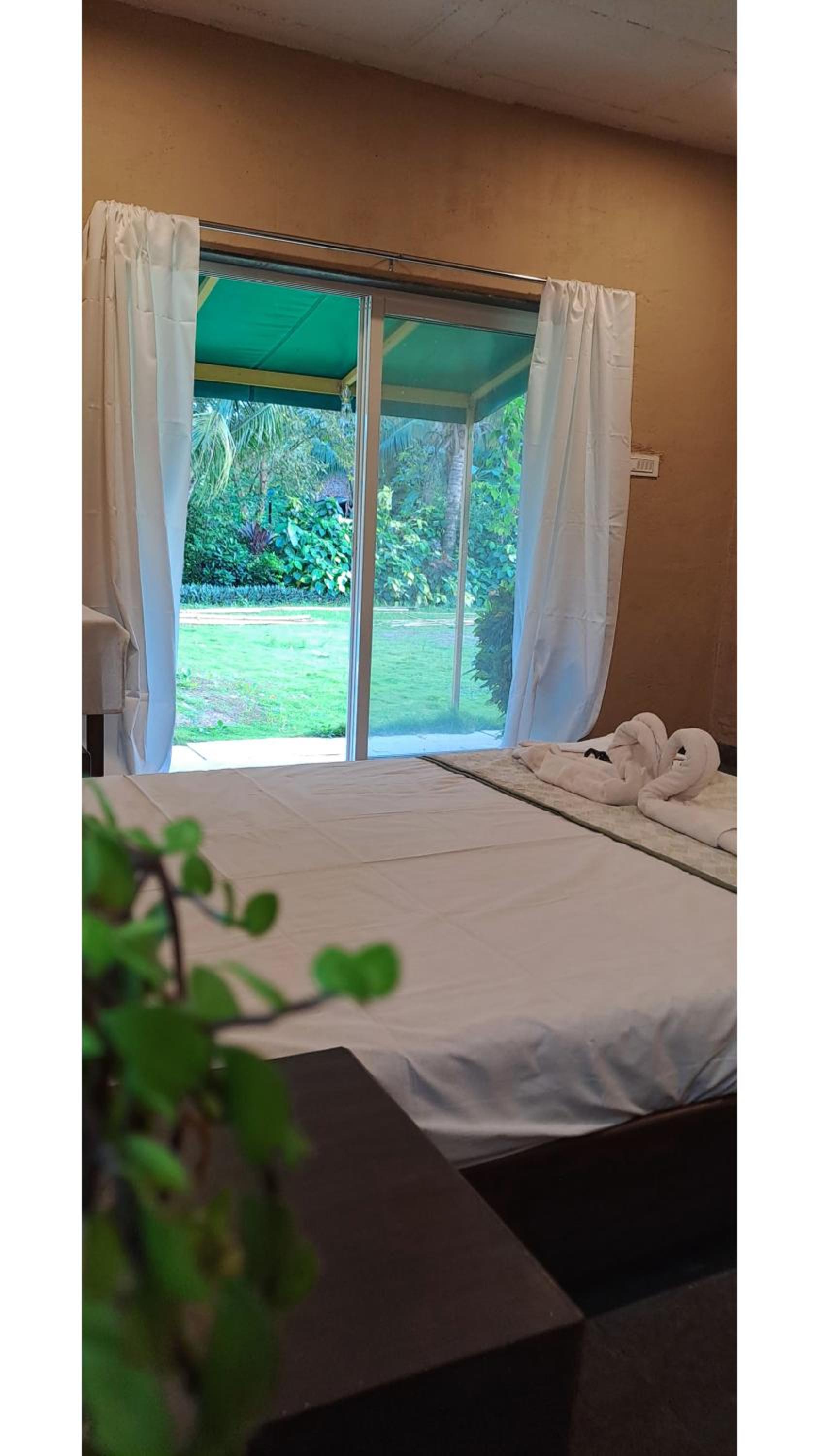 Double Room With Garden View photo 2