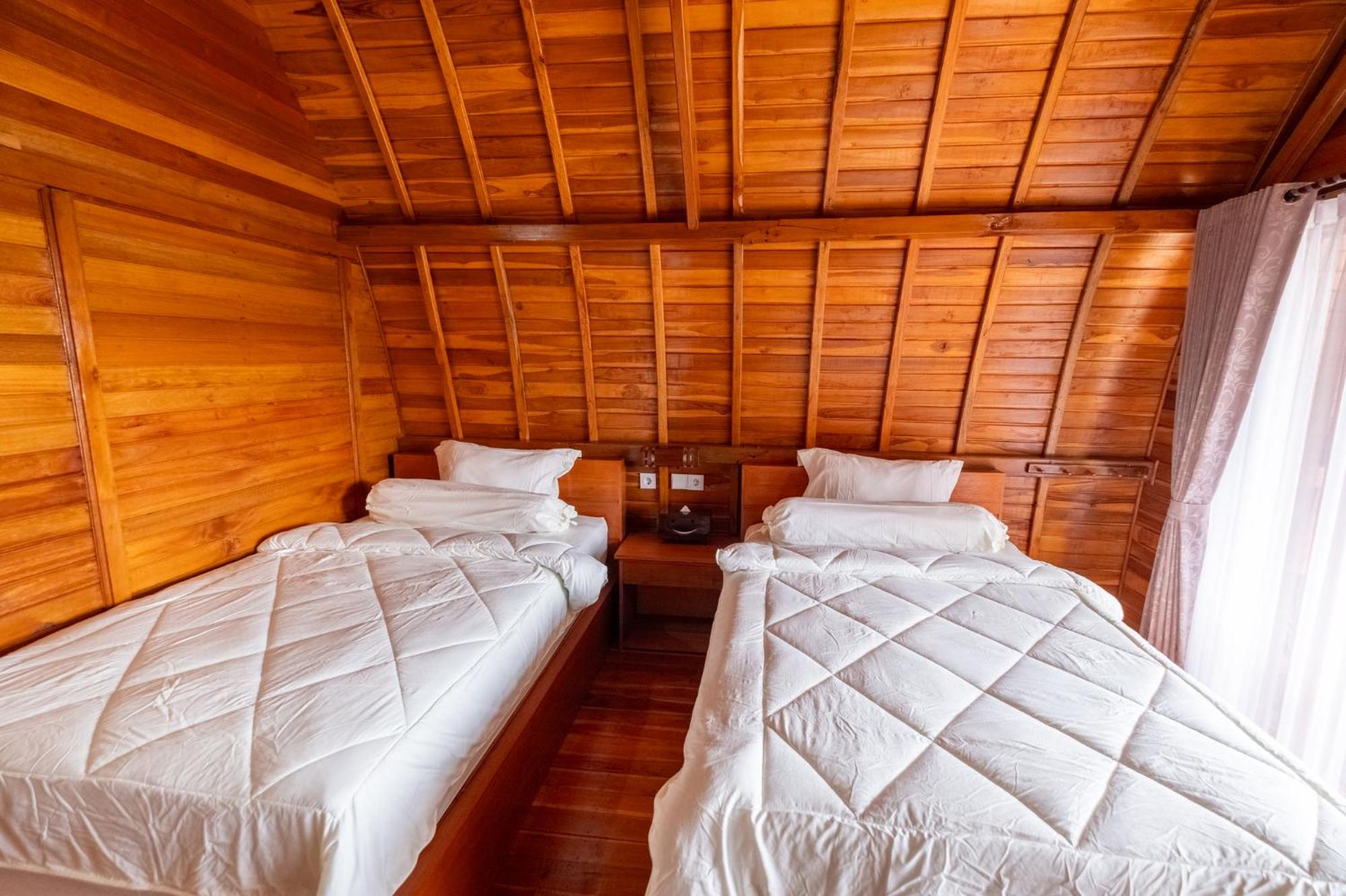 Panorama -  Twin Room photo 2