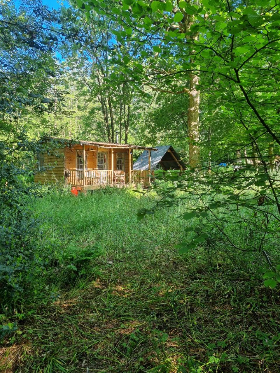 Chalet photo 1