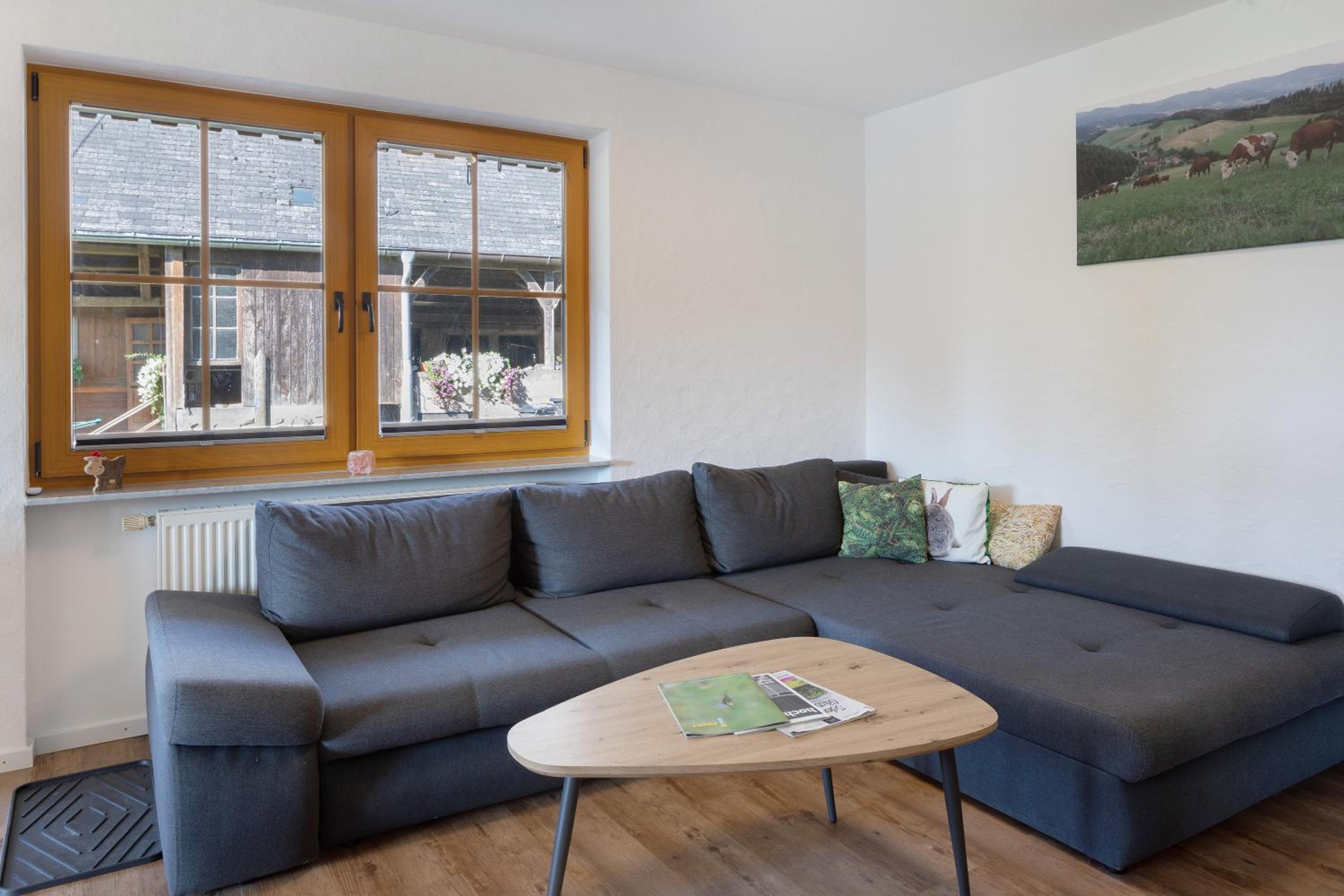 Two-Bedroom Apartment with Mountain View