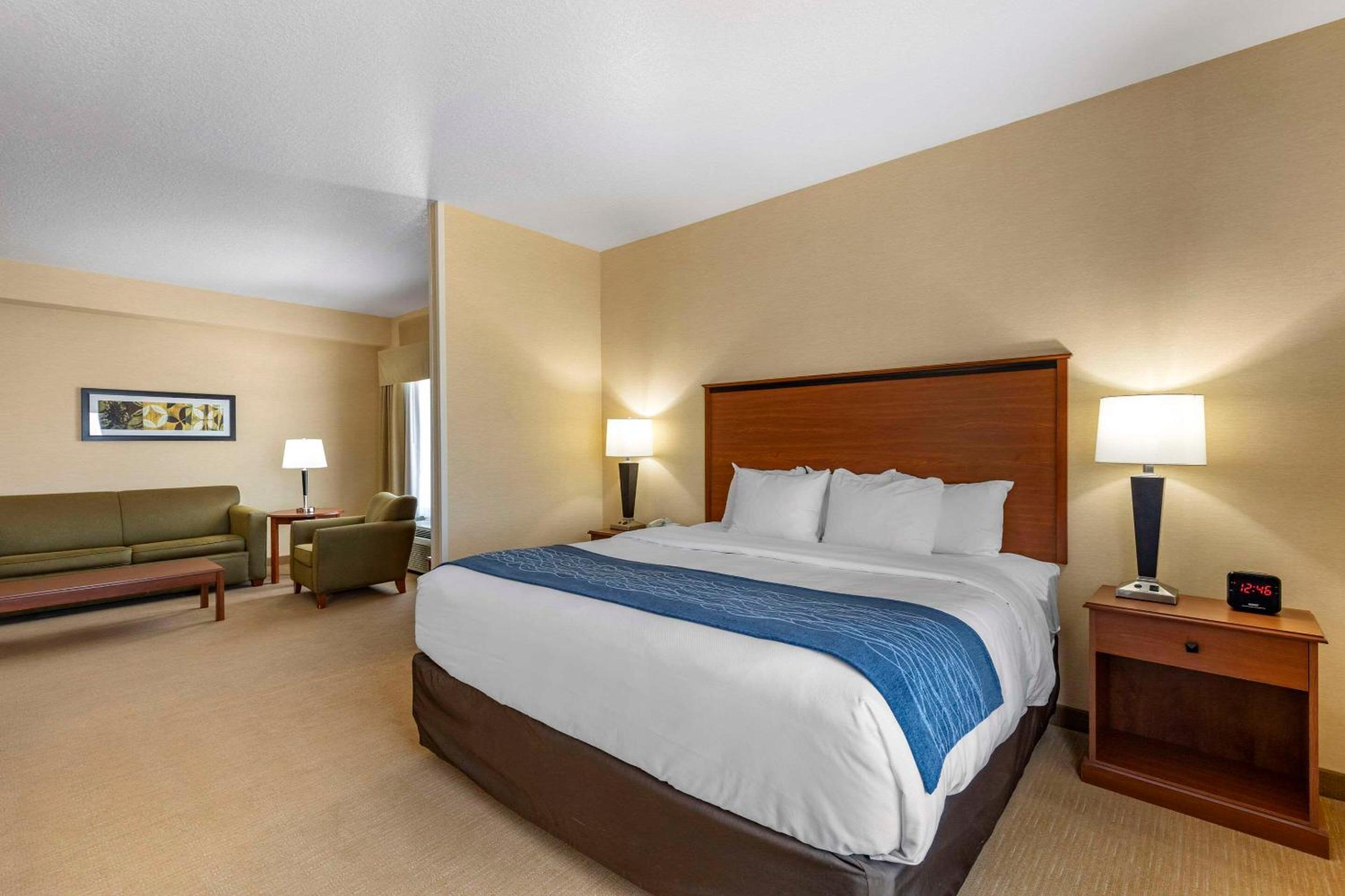 King Suite with Sofa Bed - Non-Smoking - Photo 1