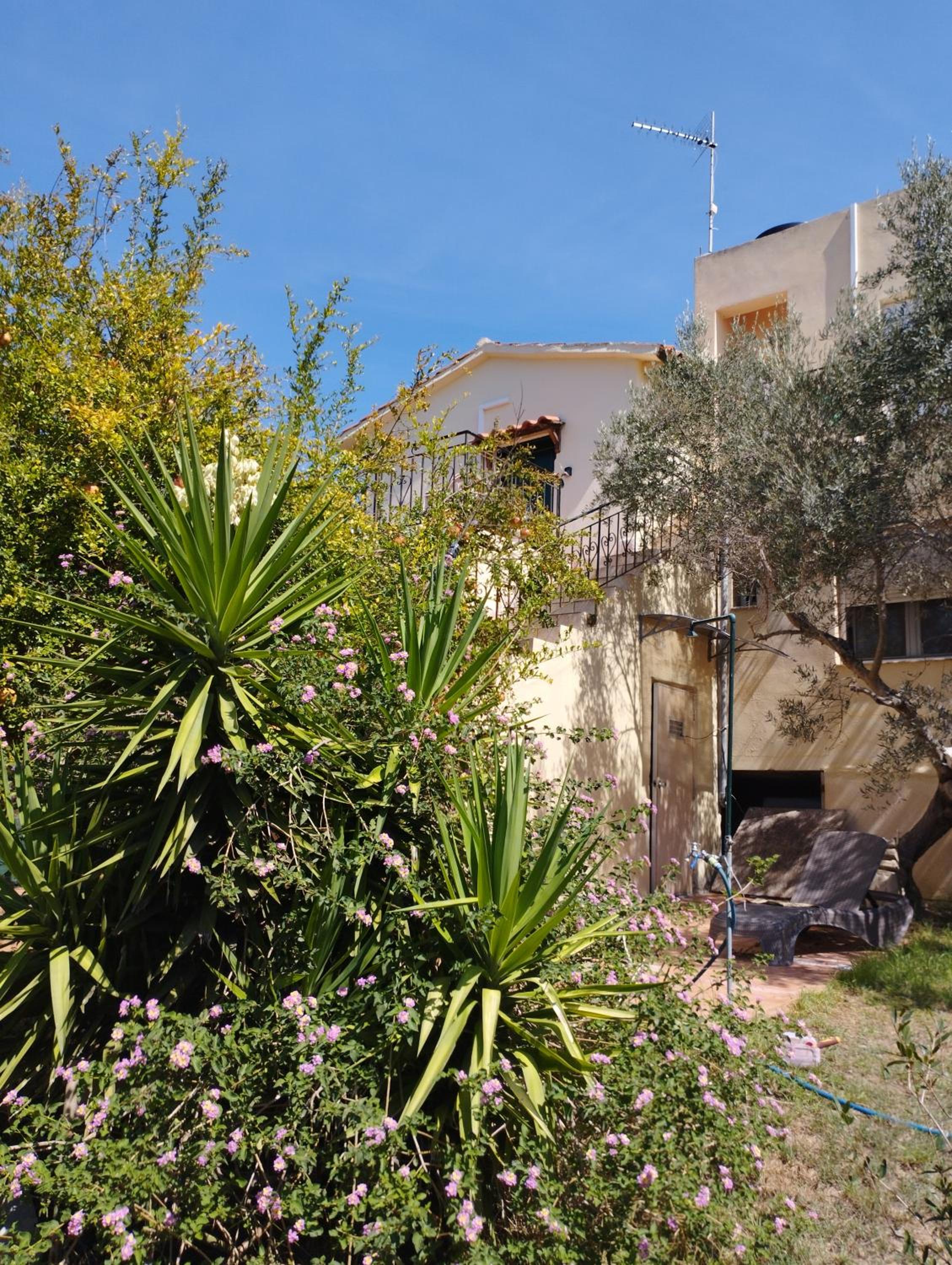 Apartment - Ground Floor photo 3