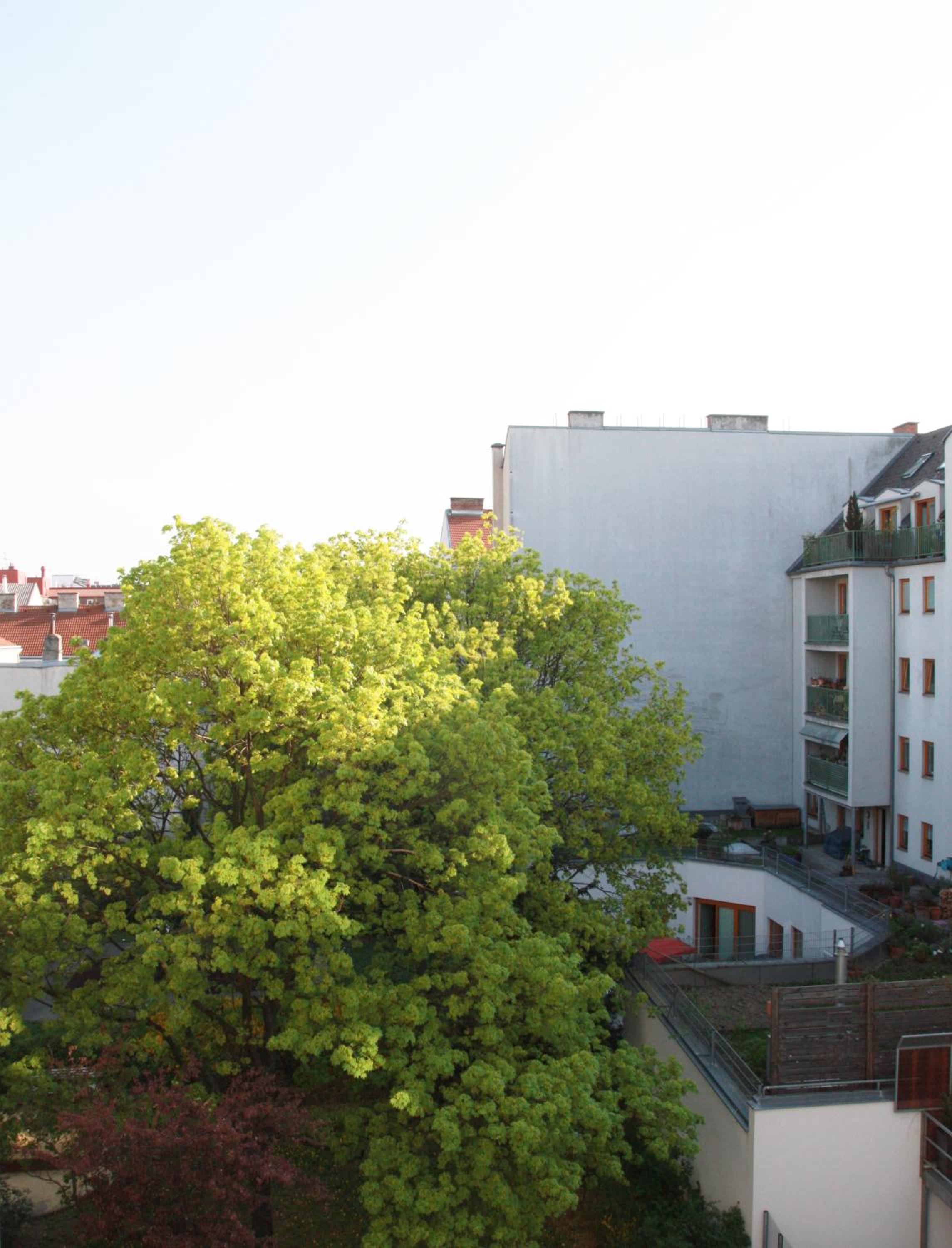 Senator Hotel Vienna — photo 94