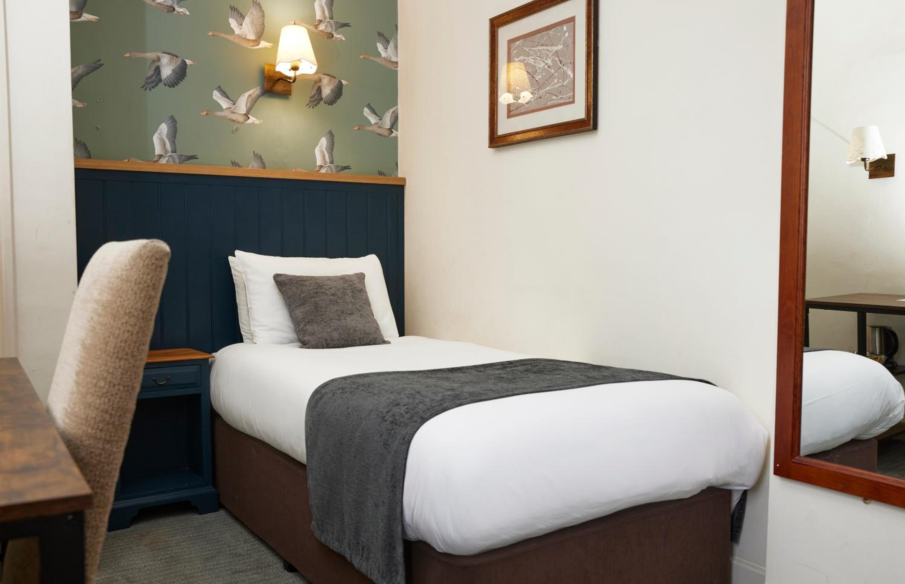 Single Room photo 1