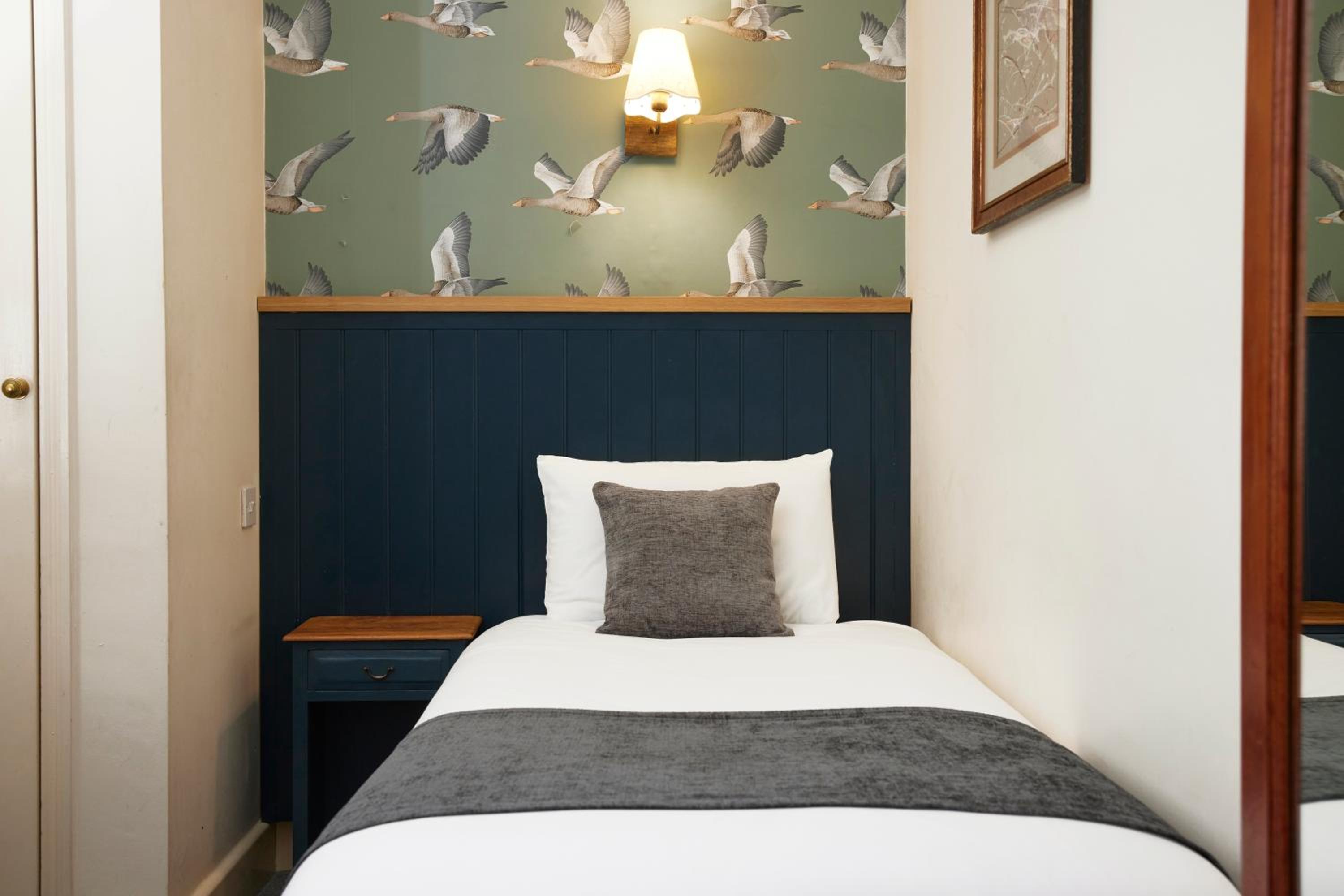 Single Room photo 2