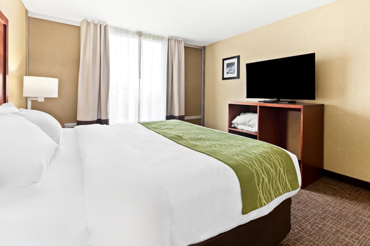 One Room Suite with Sofa bed - Non Smoking/Upper floor photo 1