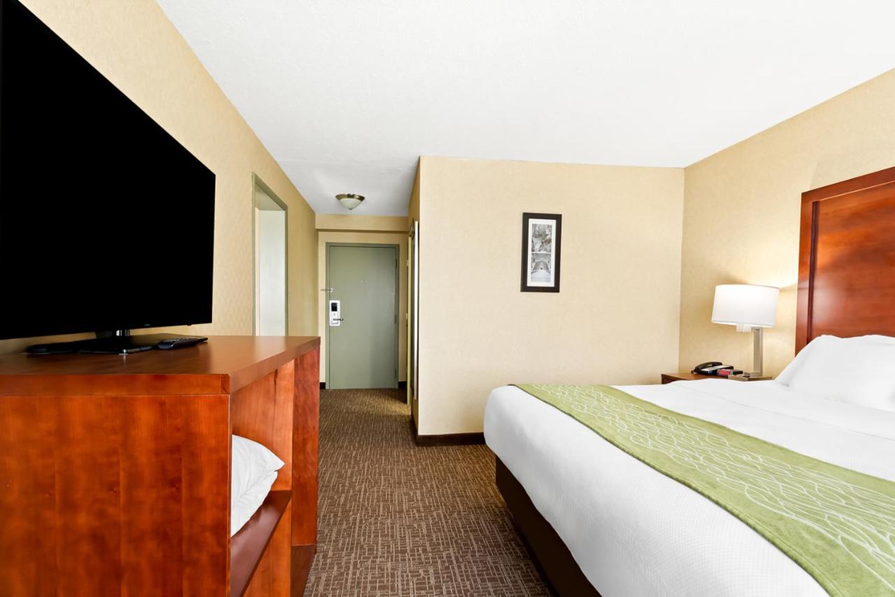One Room Suite with Sofa bed - Non Smoking/Upper floor photo 3