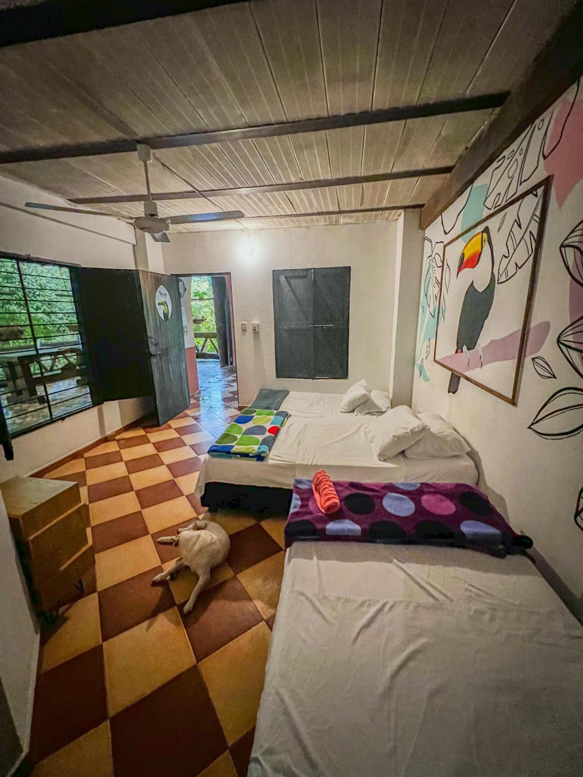 Bed in 4-Bed Dormitory Room photo 3