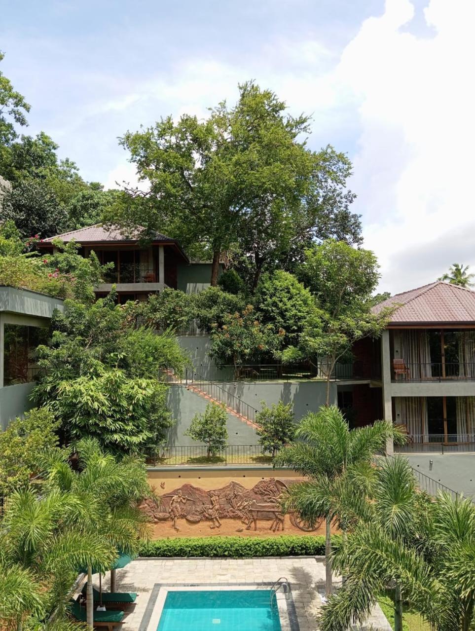 Triple Room With Mountain View photo 3