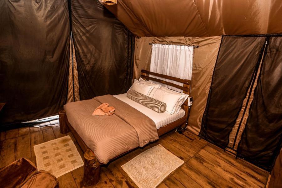 Tent photo 1