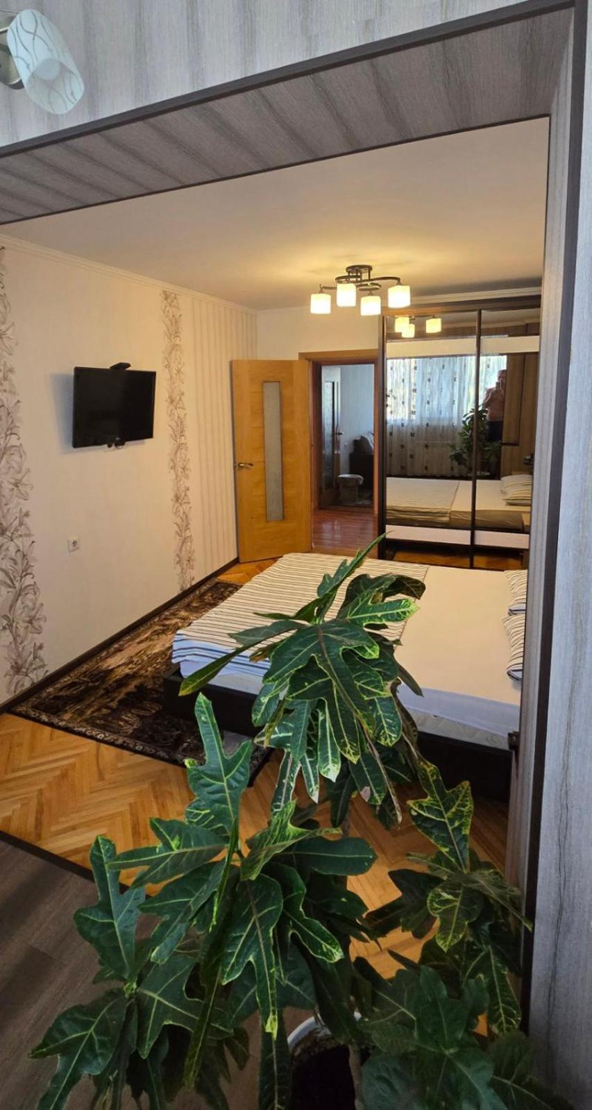 Two-Bedroom Apartment photo 1