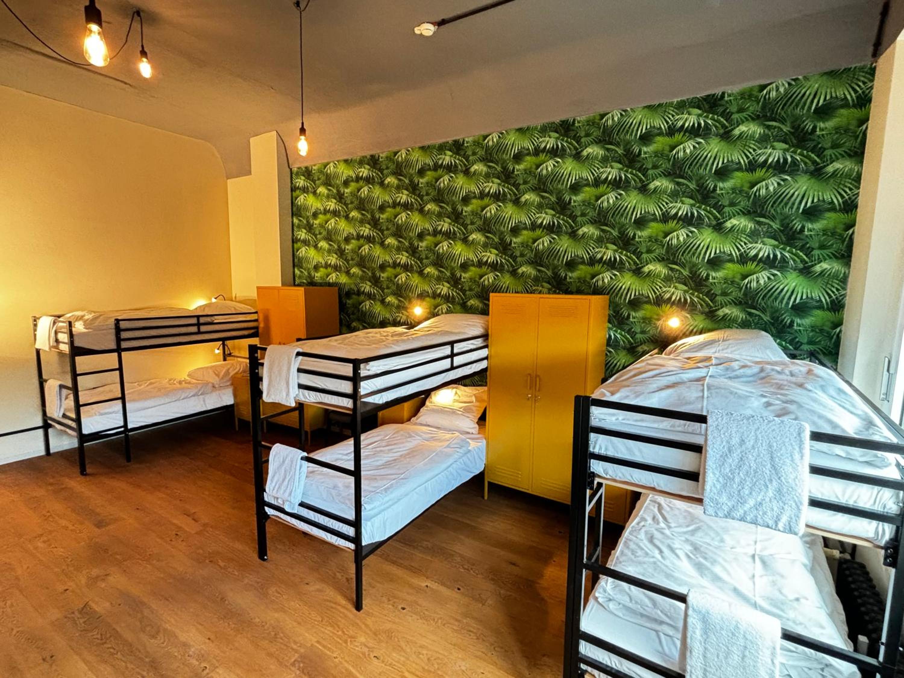 Bed in 6-Bed Mixed Dormitory Room with Shared Bathroom photo 1