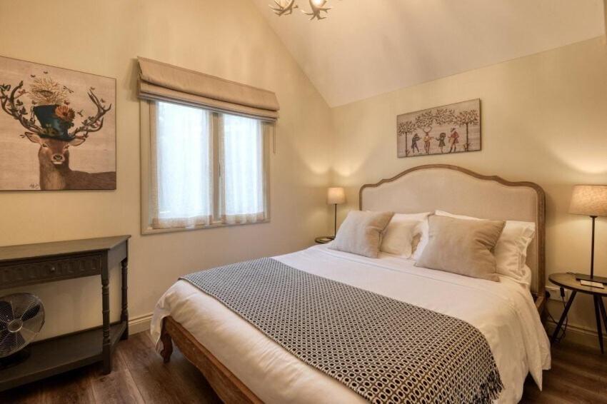 Superior Apartment photo 2