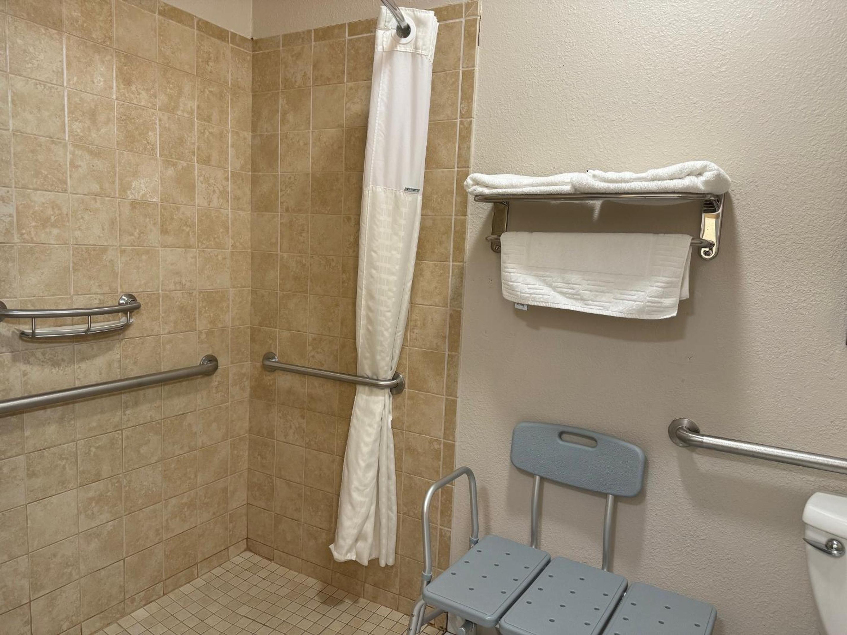 King Room with Roll-In Shower - Mobility Access/Non-Smoking - Photo 4