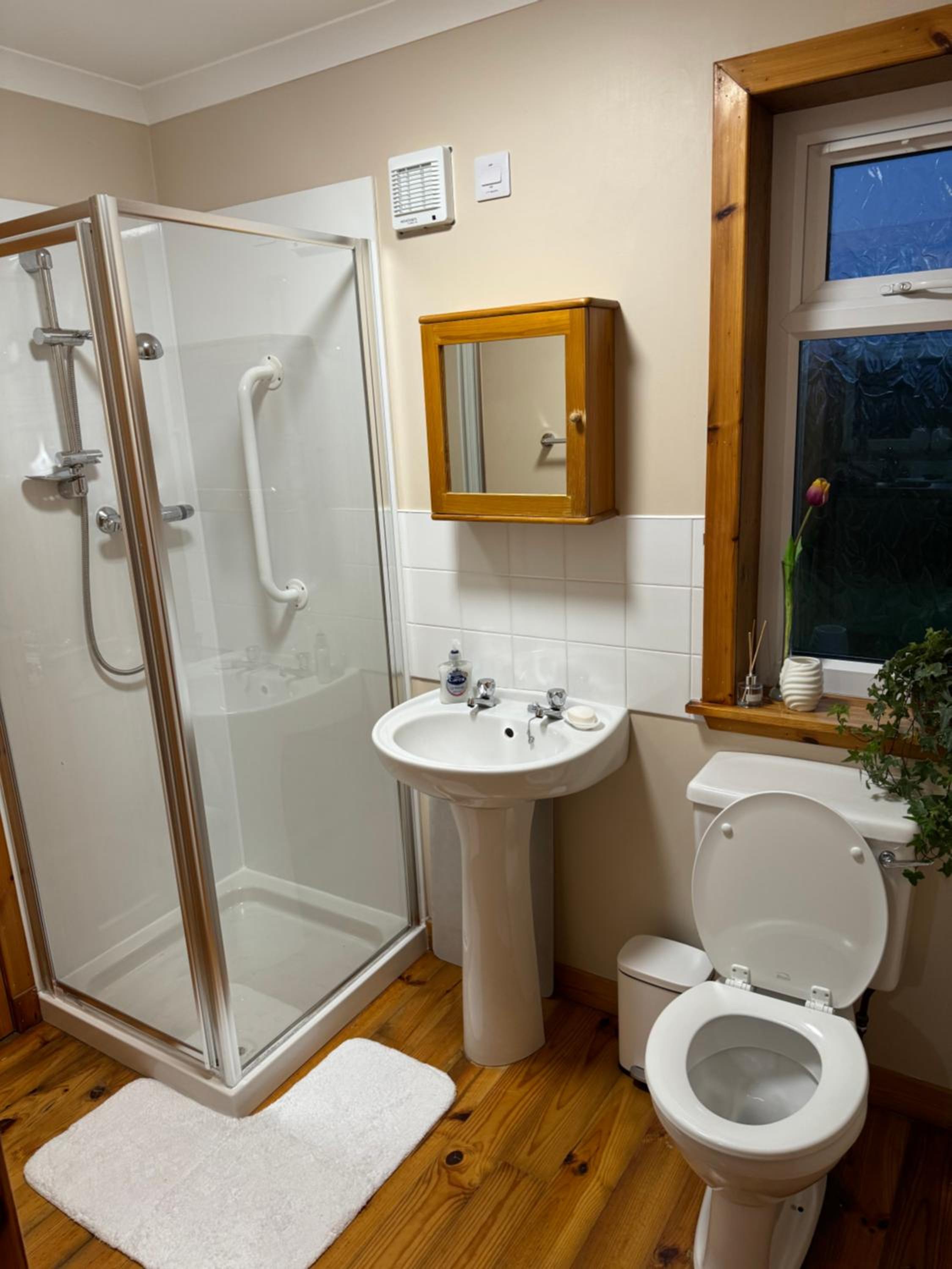 One-Bedroom House photo 3