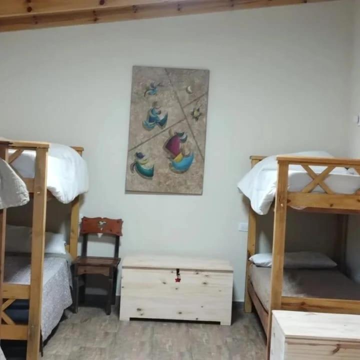 Bunk Bed in Mixed Dormitory Room photo 3