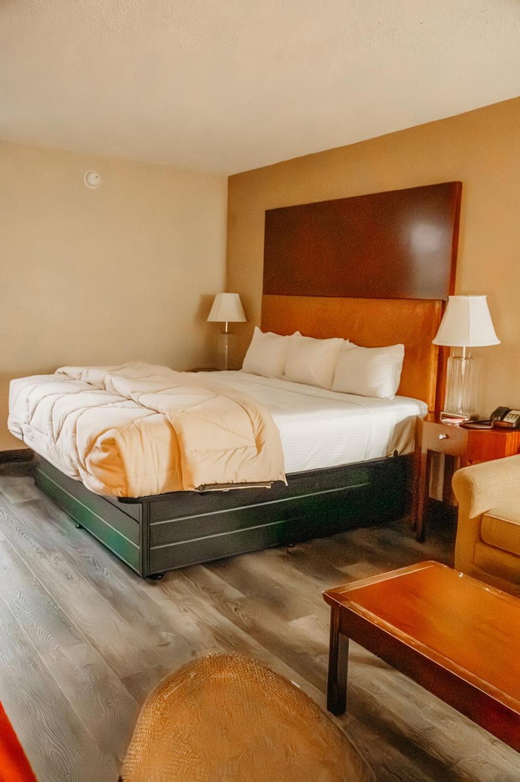 1 King Bed, Non-Smoking - Photo 4