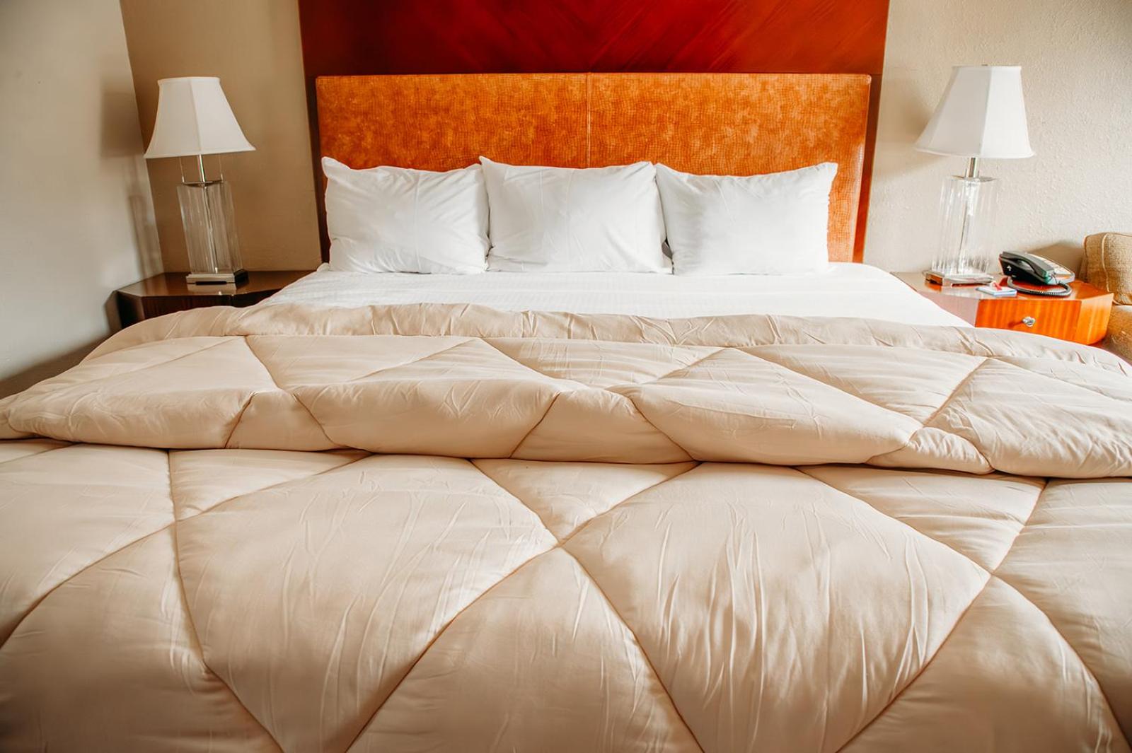 1 King Bed, Non-Smoking - Photo 8