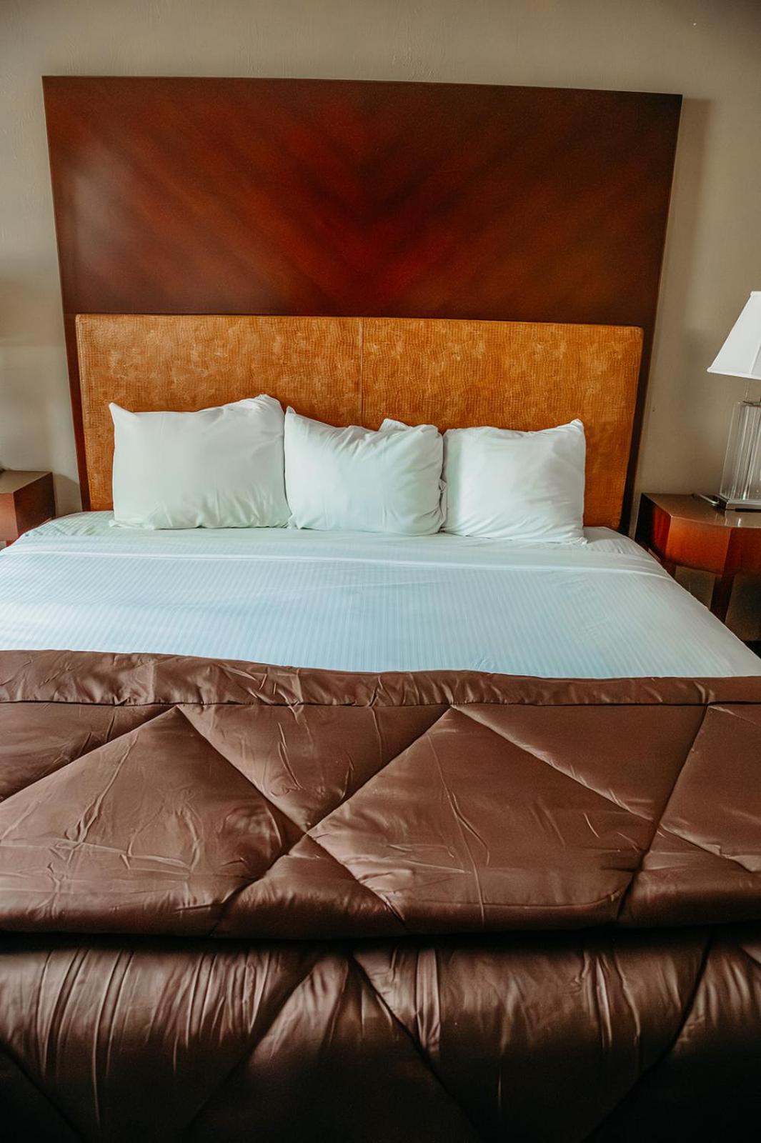 1 KING BED ACCESSIBLE SUITE NONSMOKING - Photo 8