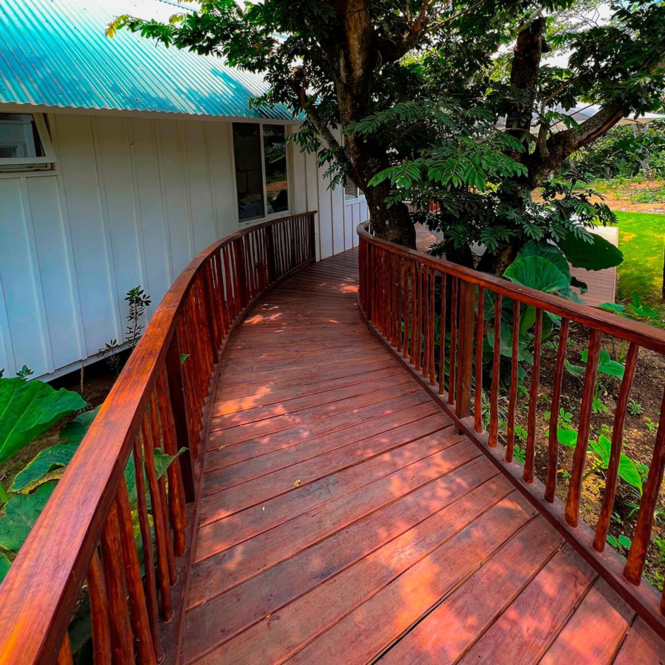 Bungalow photo 2