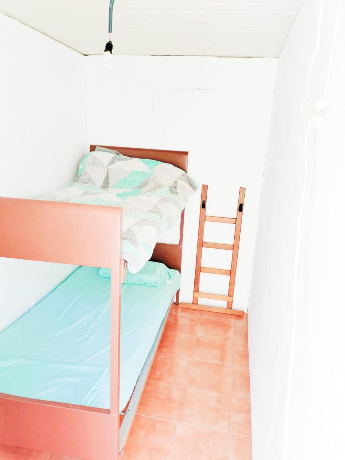 Single Bed In Mixed Dormitory Room photo 1