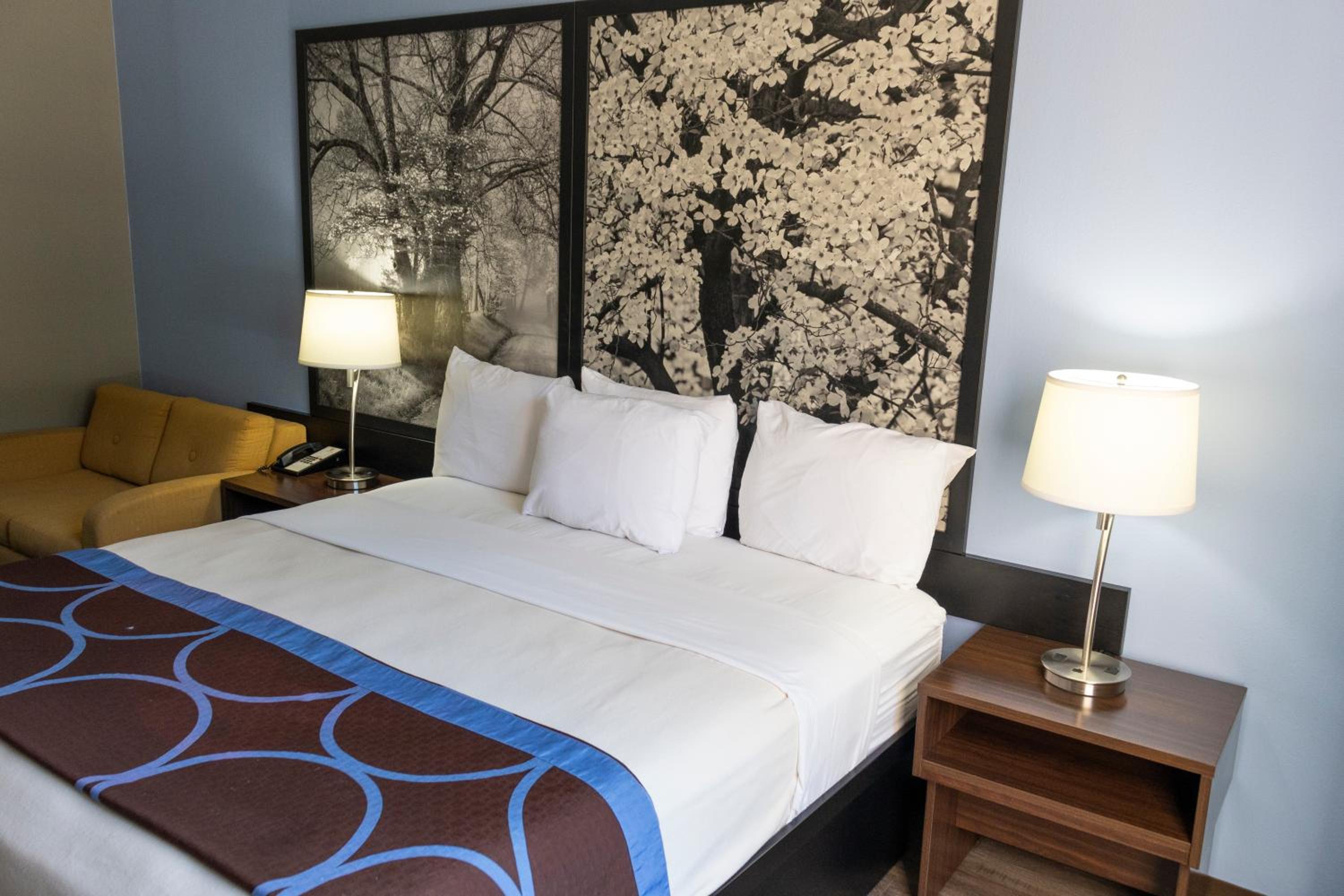 King Room - Non-Smoking - Photo 11