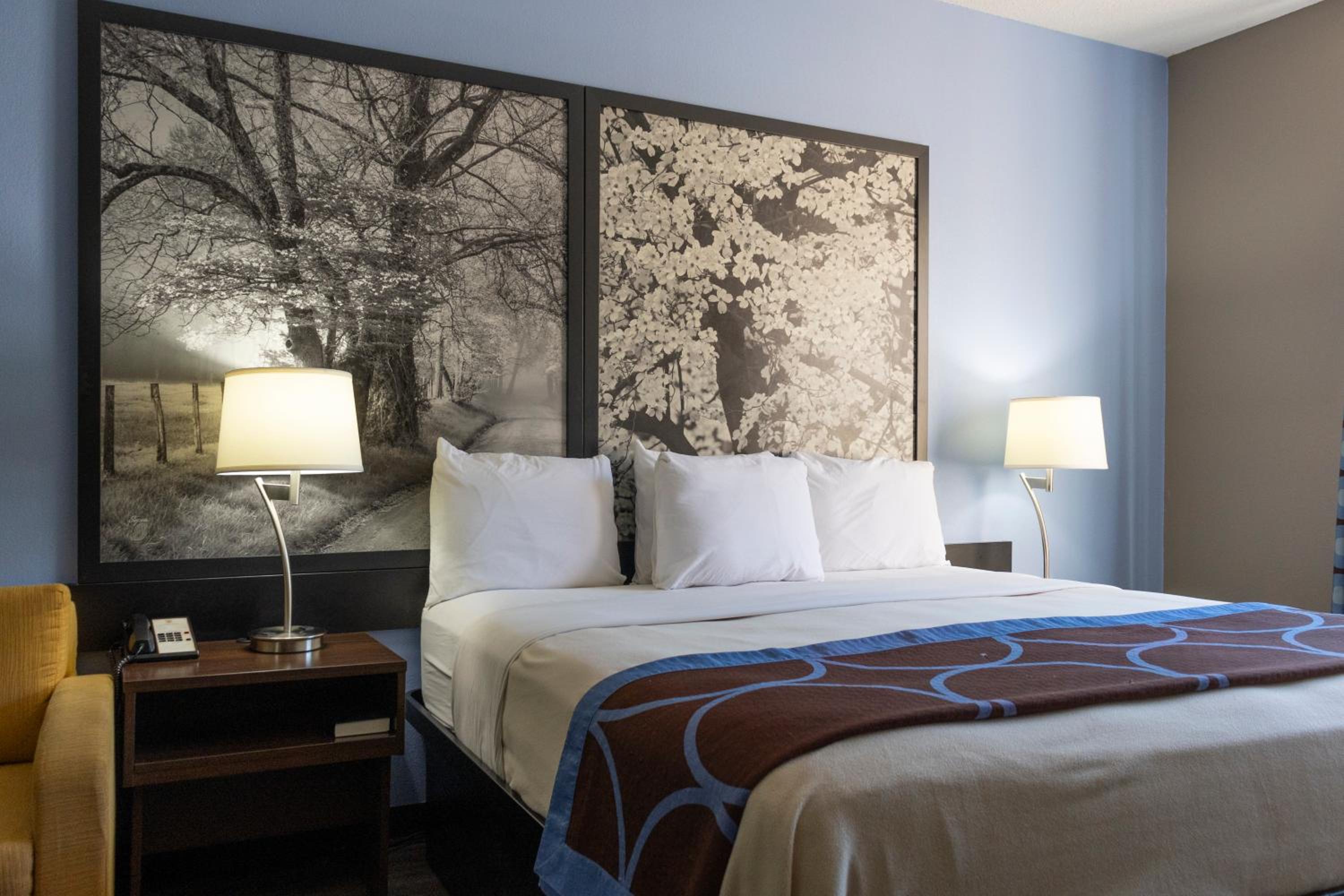 King Room - Non-Smoking - Photo 2