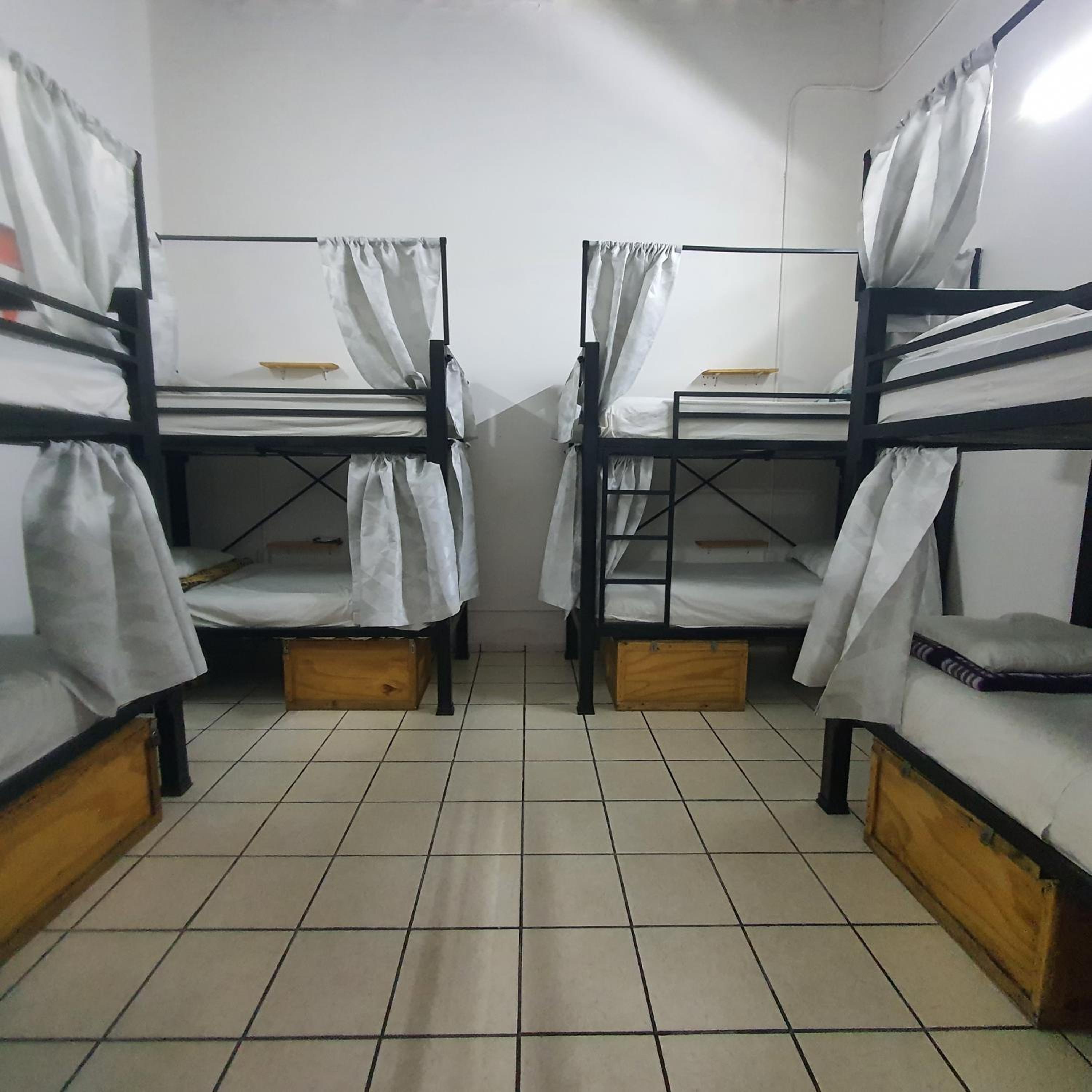 Bunk Bed in Mixed Dormitory Room