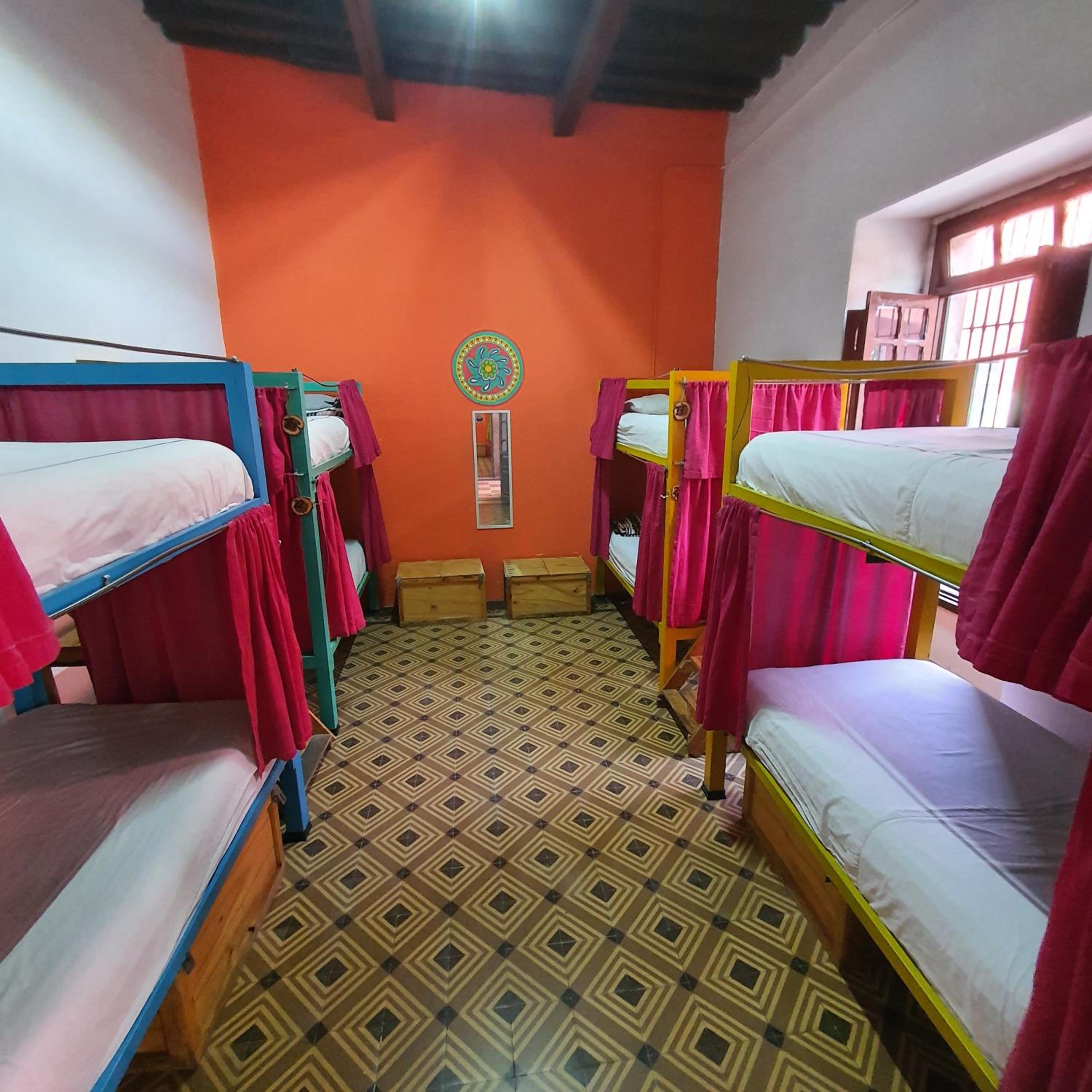 Bed in 8-Bed Mixed Dormitory Room
