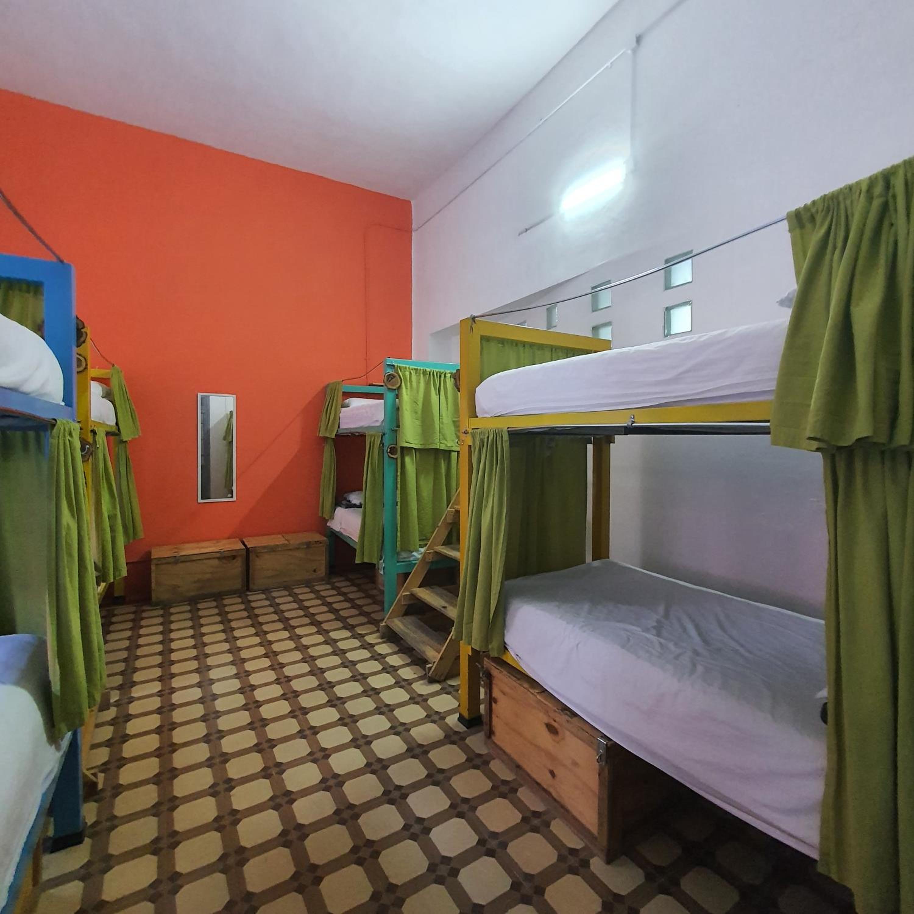 Bed in 8-Bed Mixed Dormitory Room photo 3