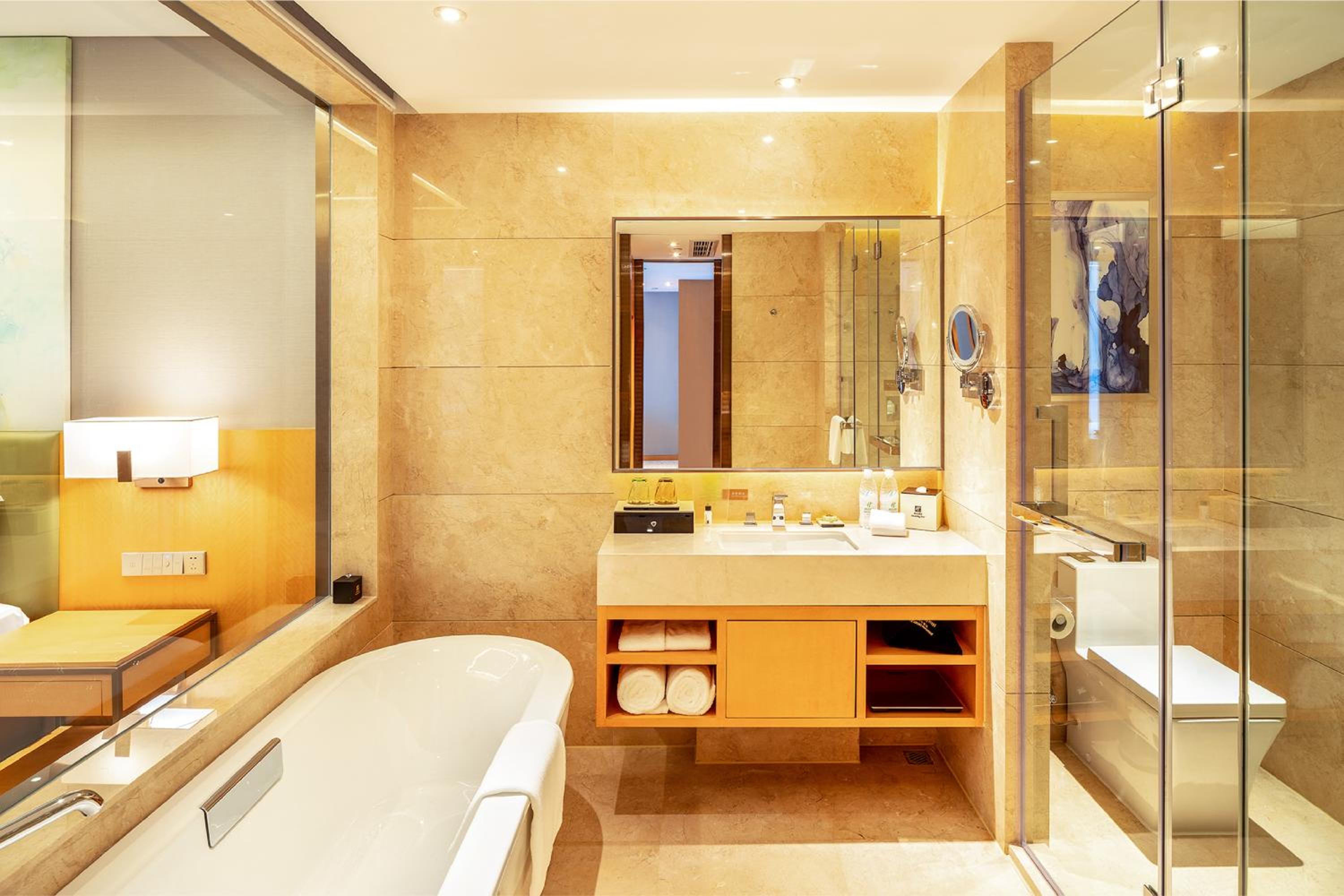 Standard King Room with City View