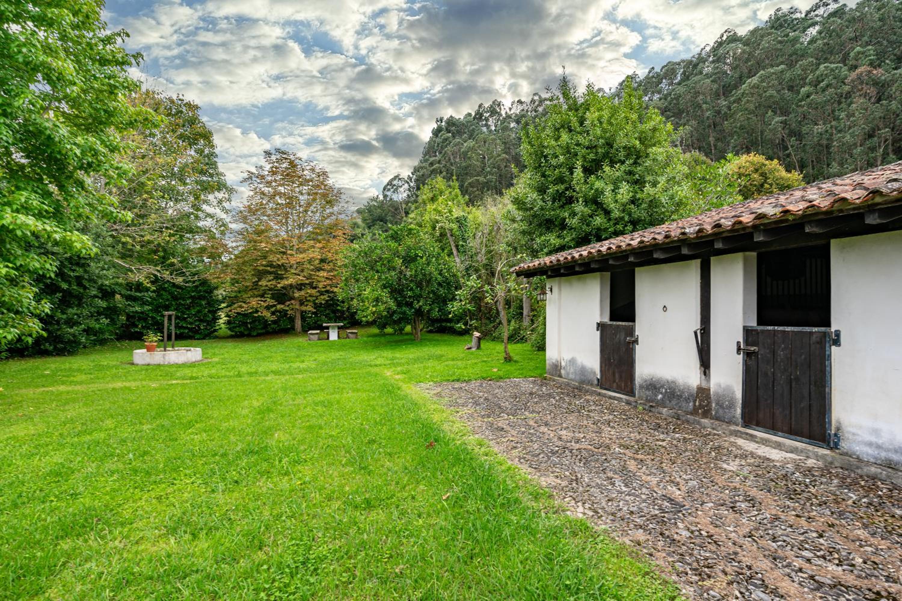 Three-Bedroom House photo 3