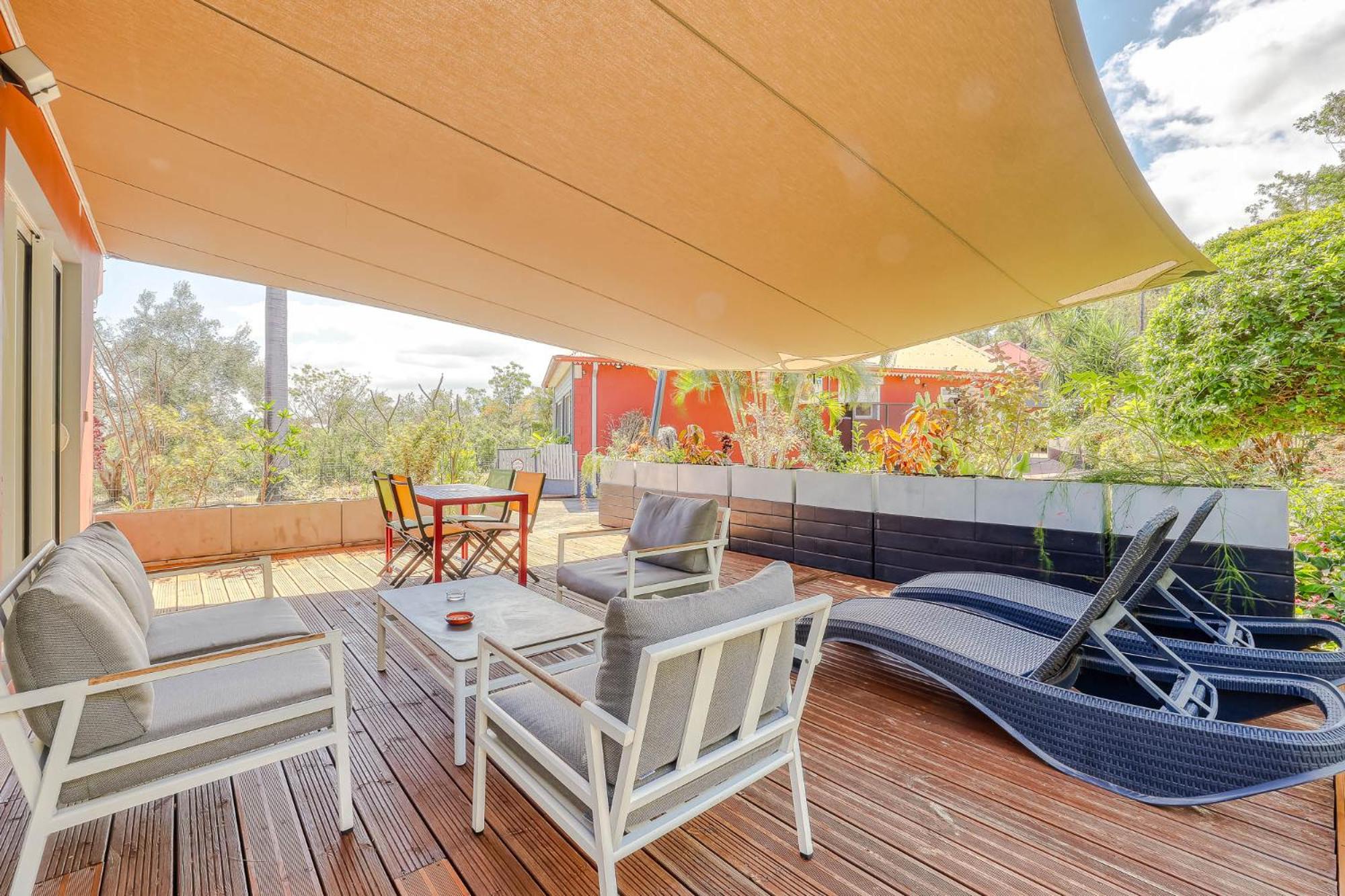 Studio with Terrace photo 1