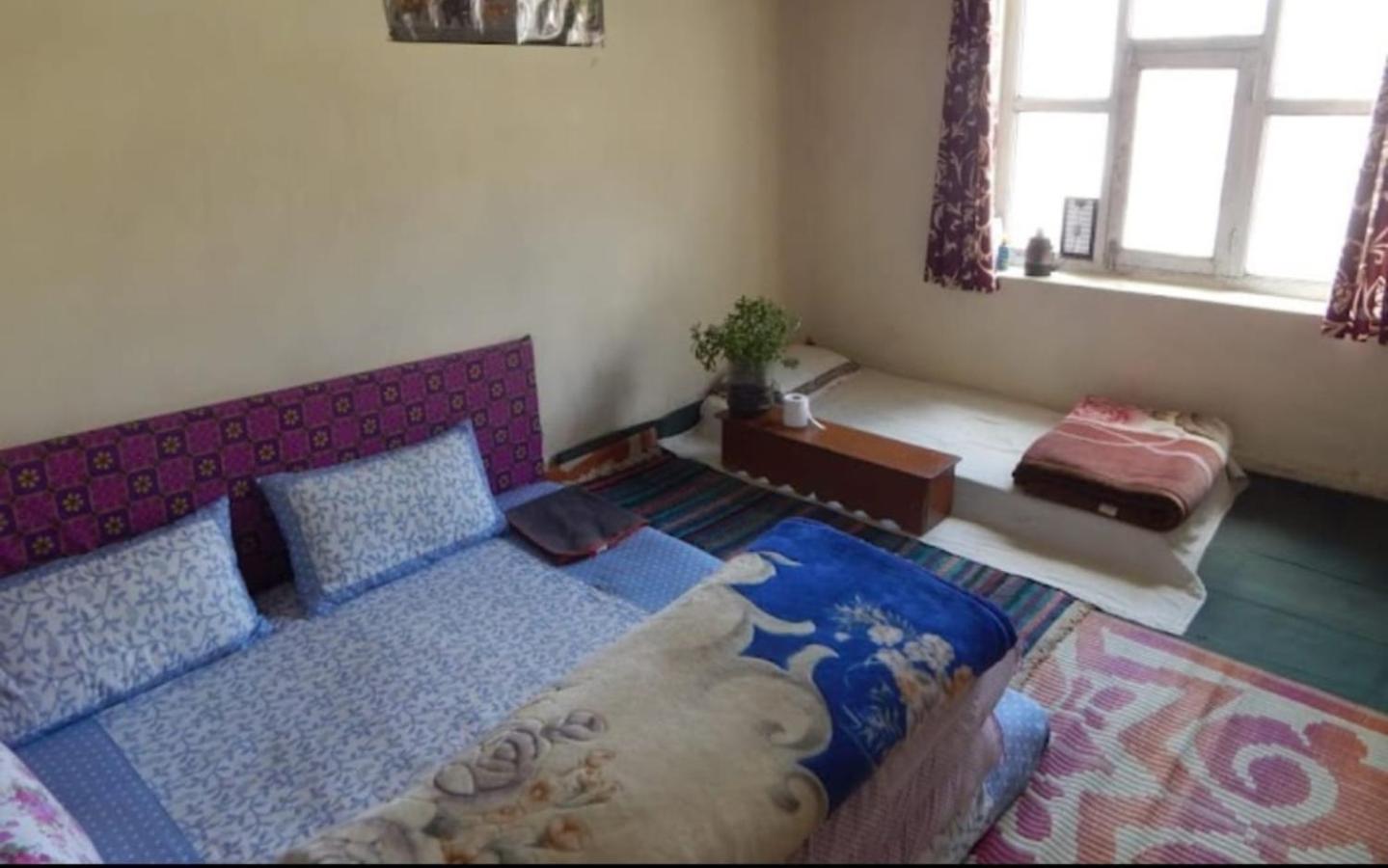 Triple Room photo 2