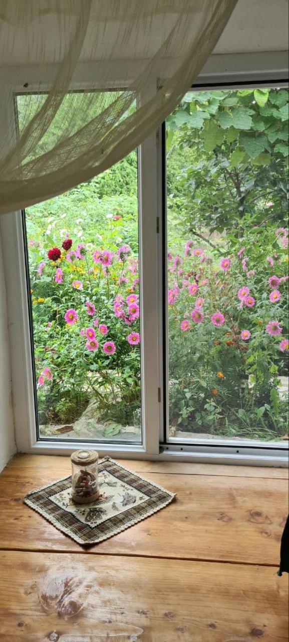 Twin Room with Garden View photo 2