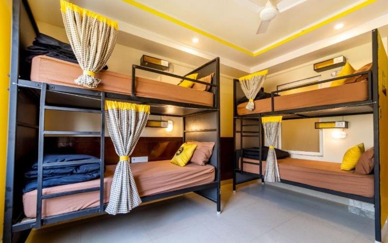 Bed In 8 Bed Female Dormitory photo 1