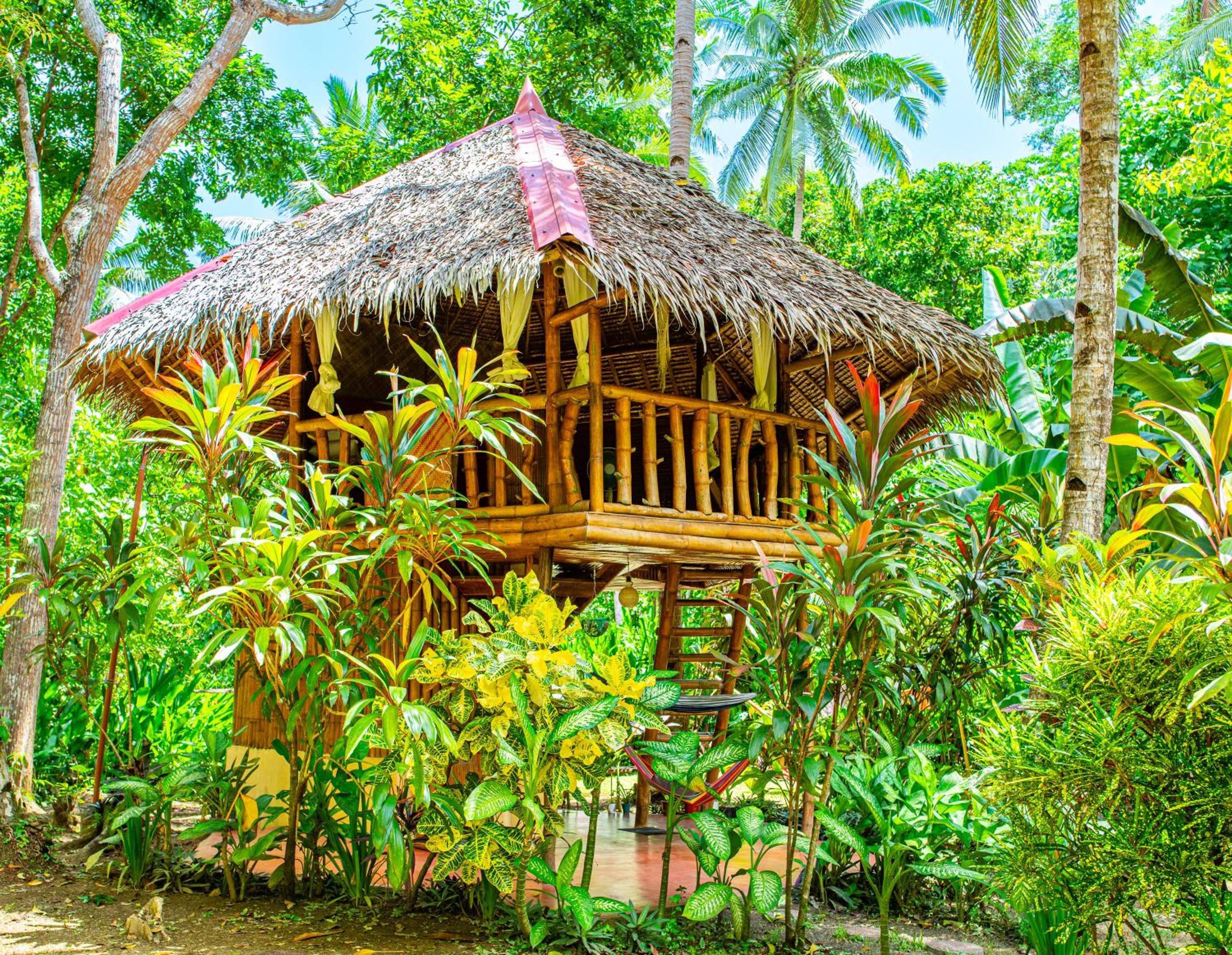 Tree house with private bathroom - Photo 2